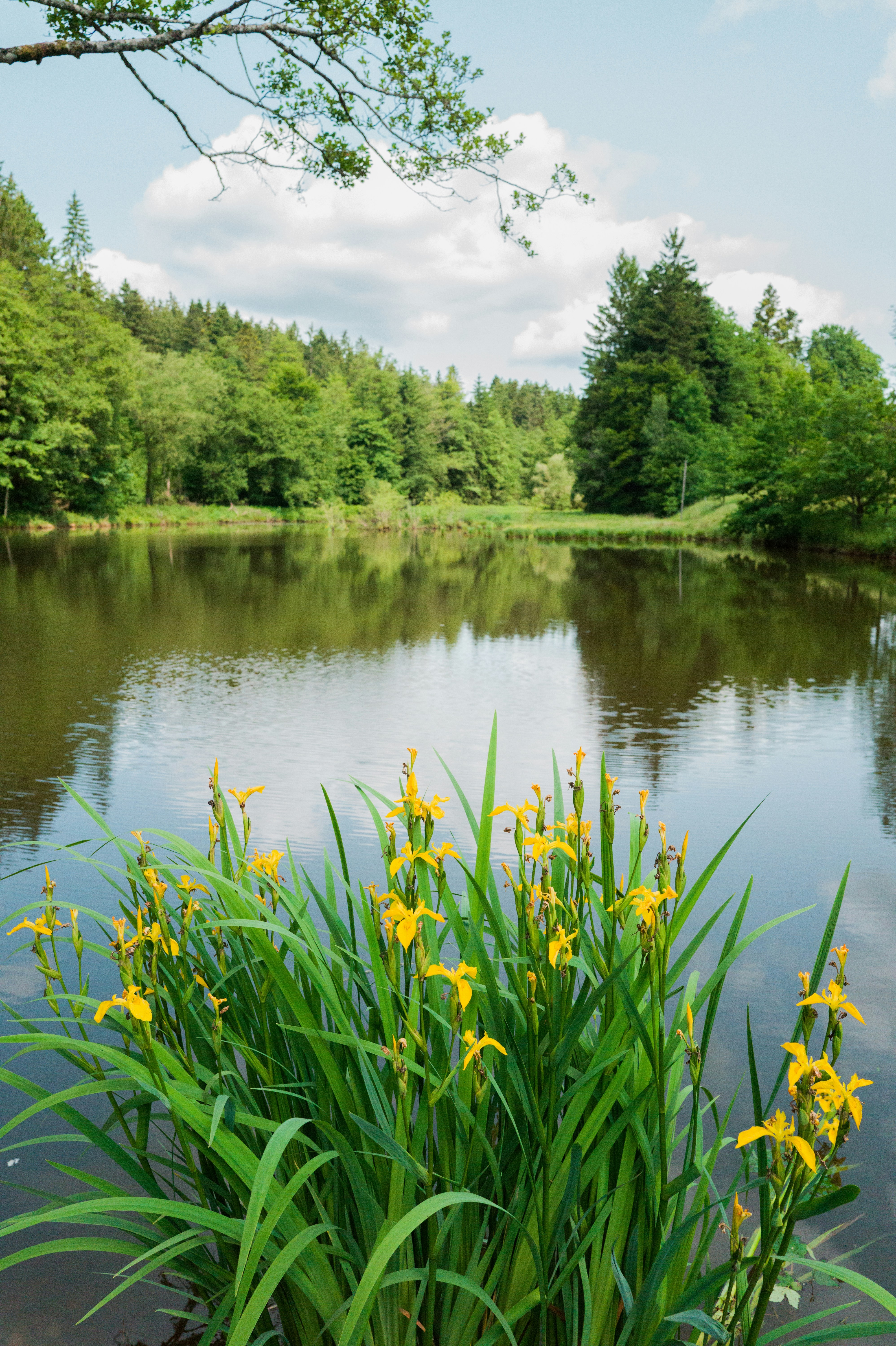 Photo by georgeiermann