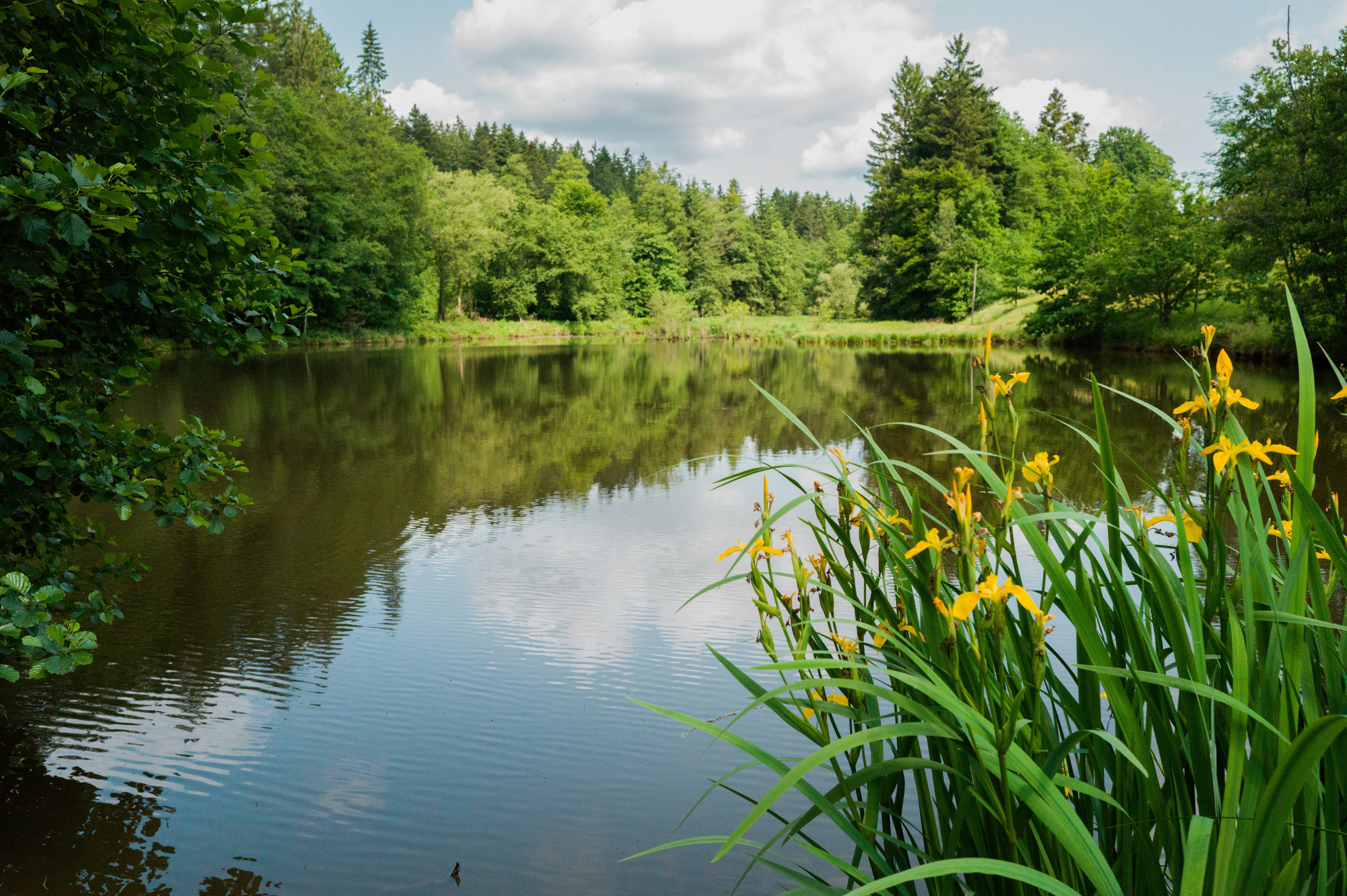 Photo by georgeiermann