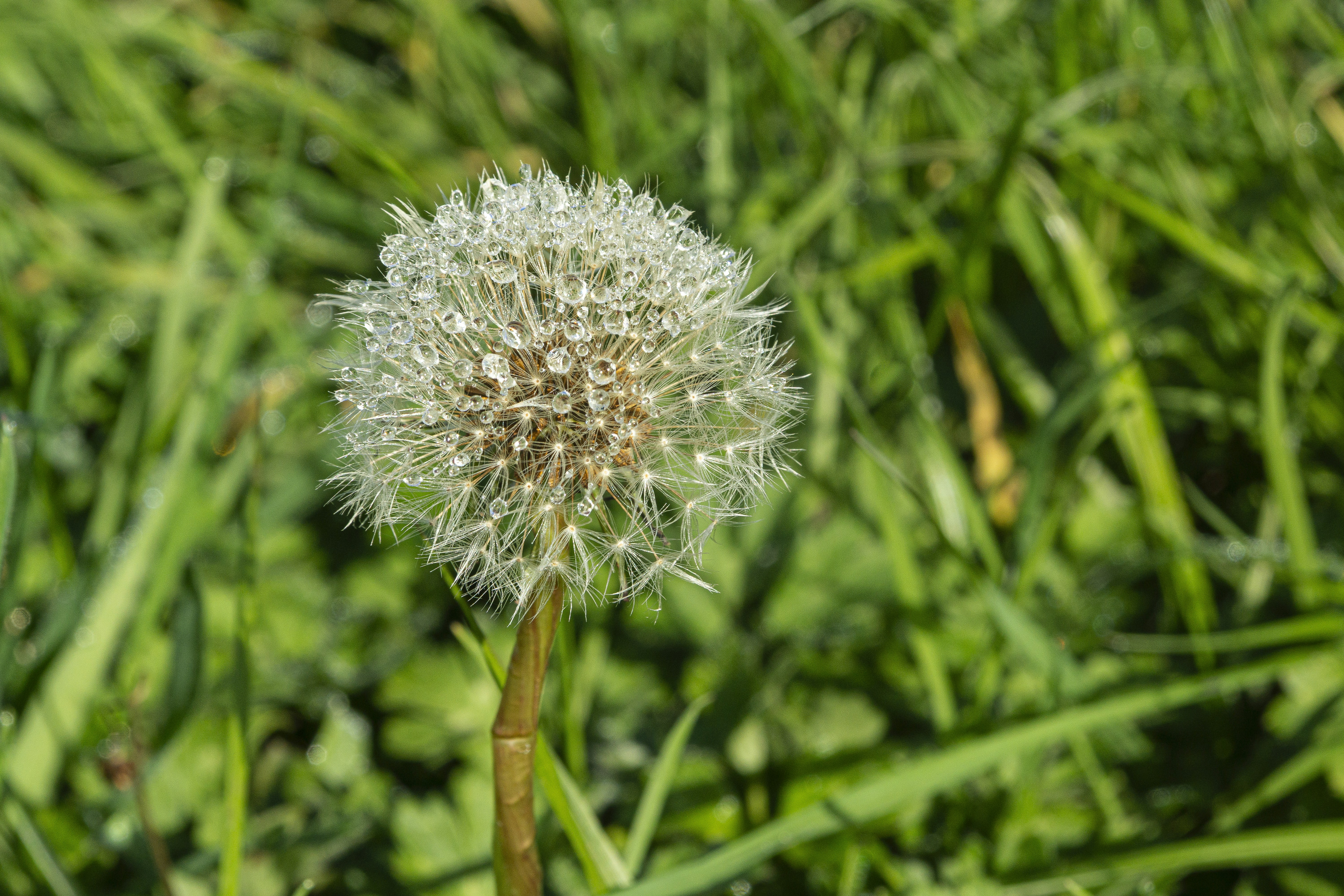 Photo by alexis_hernandez