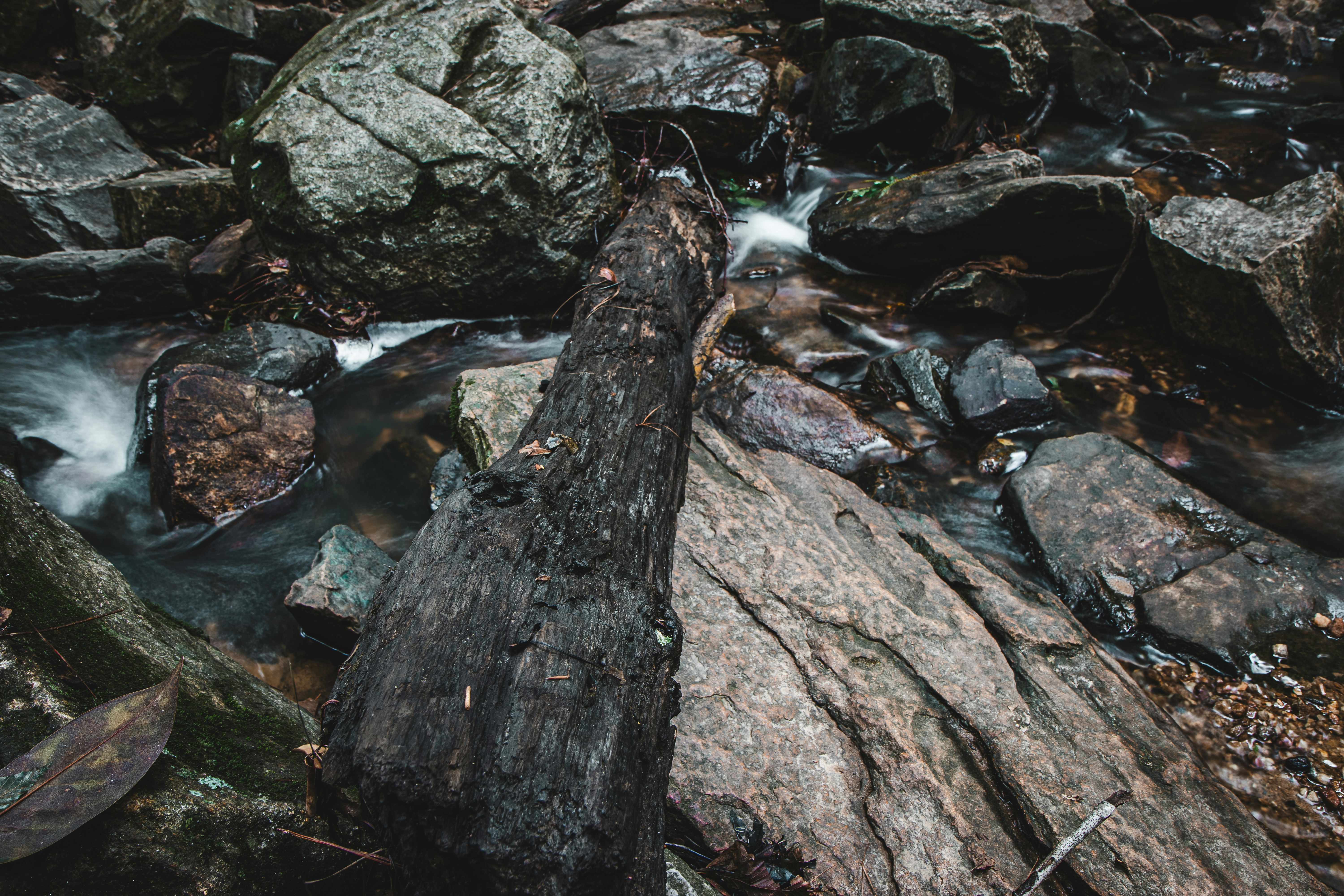 Photo by brice_cooper18