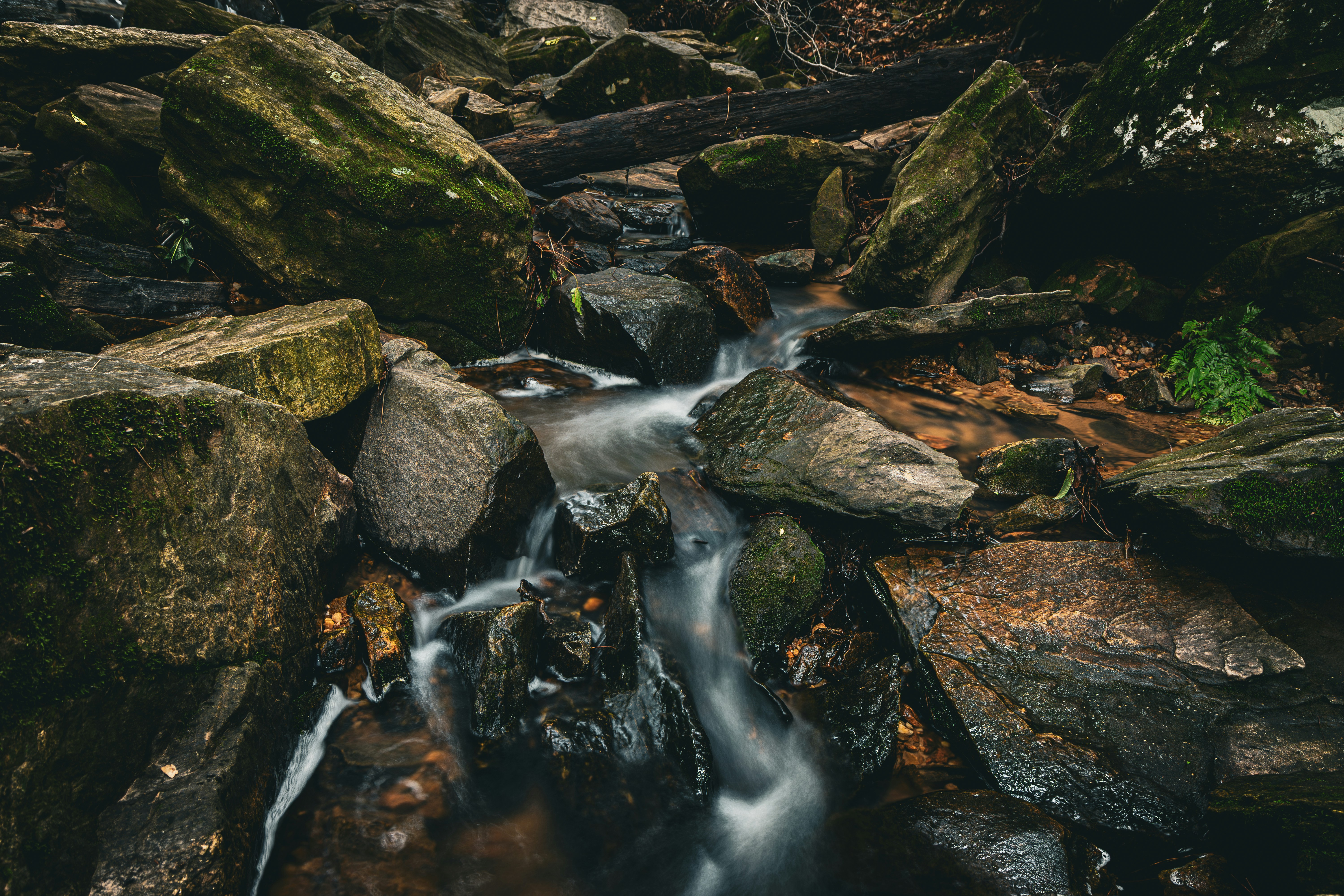 Photo by brice_cooper18