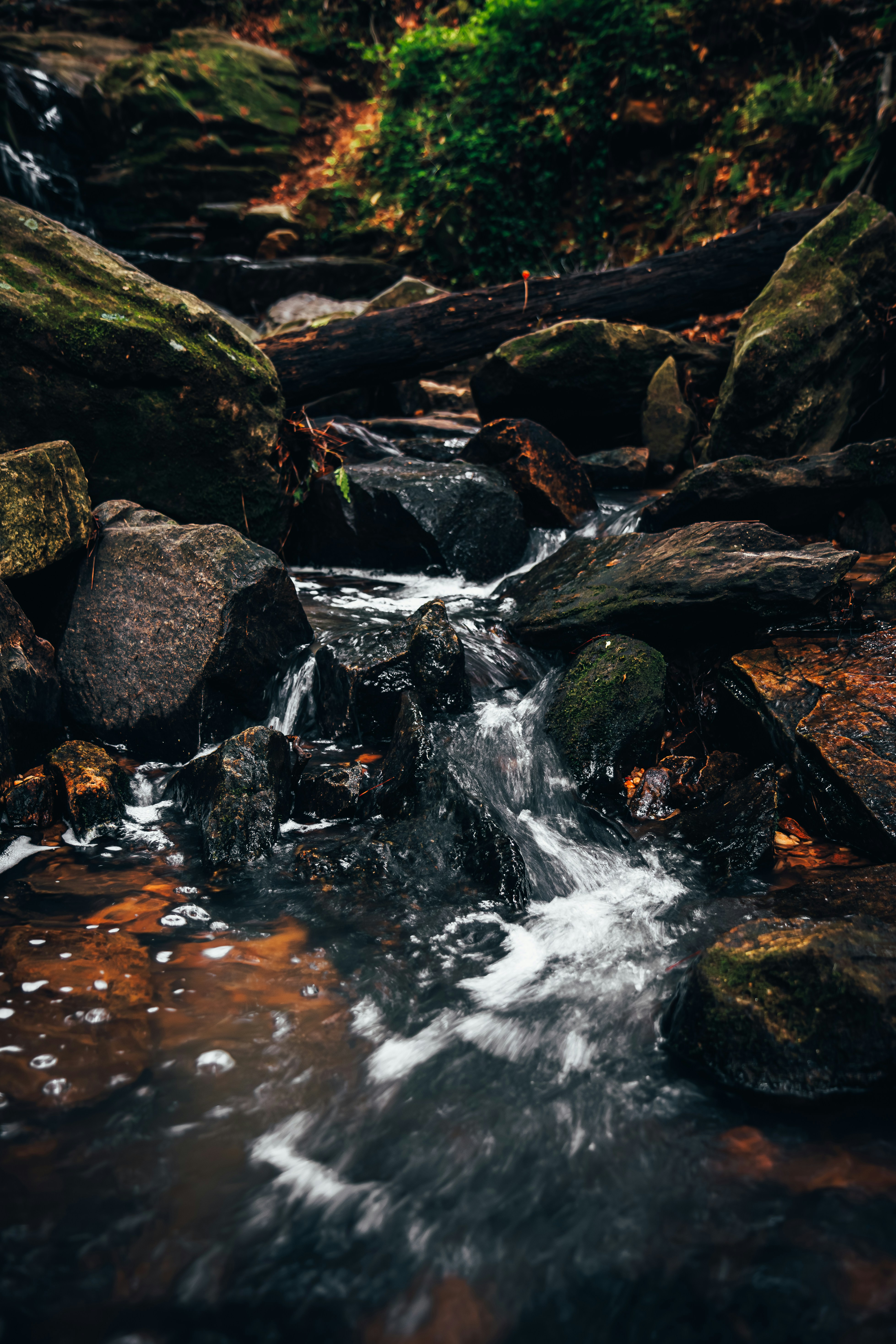 Photo by brice_cooper18