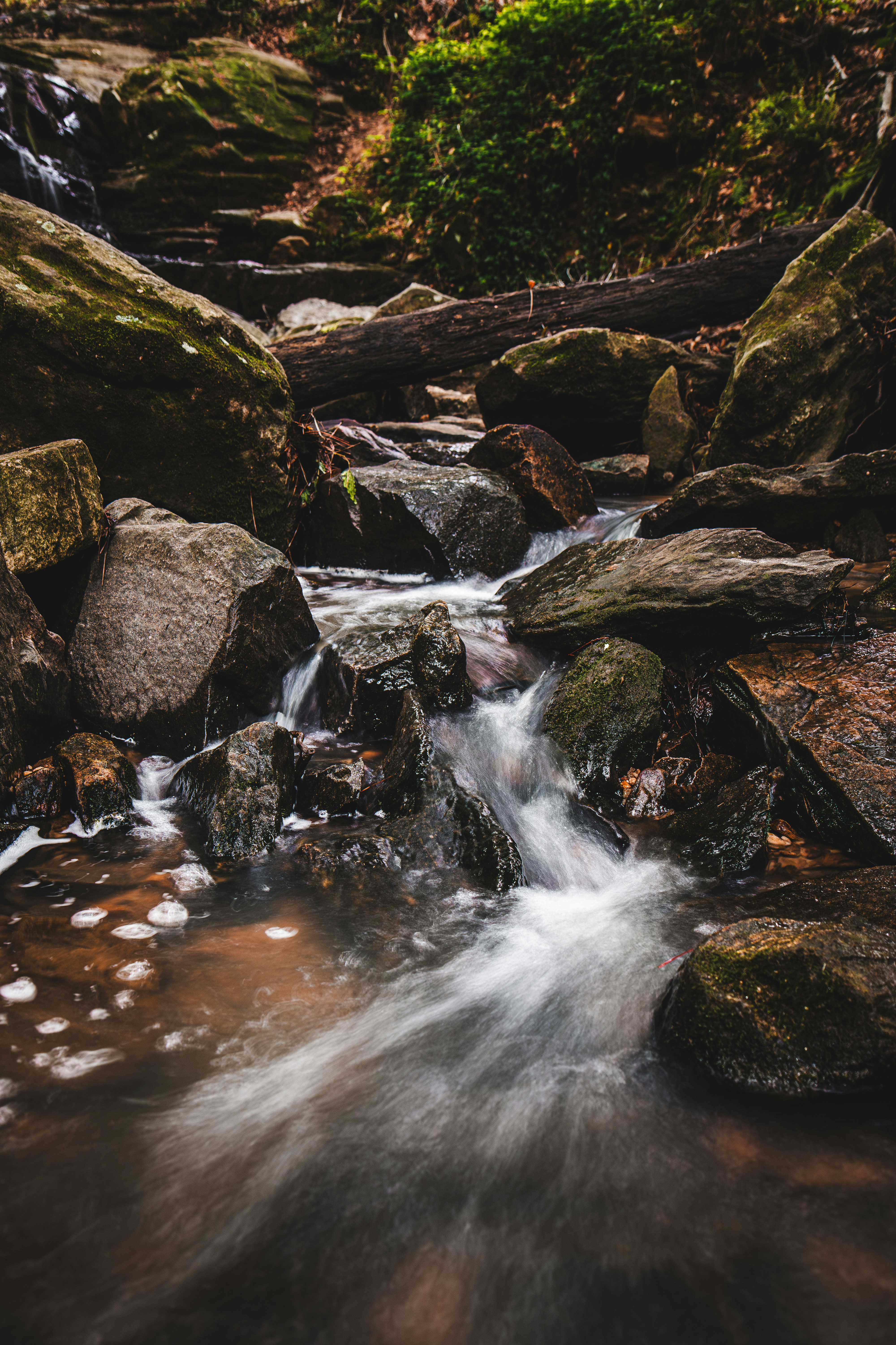 Photo by brice_cooper18