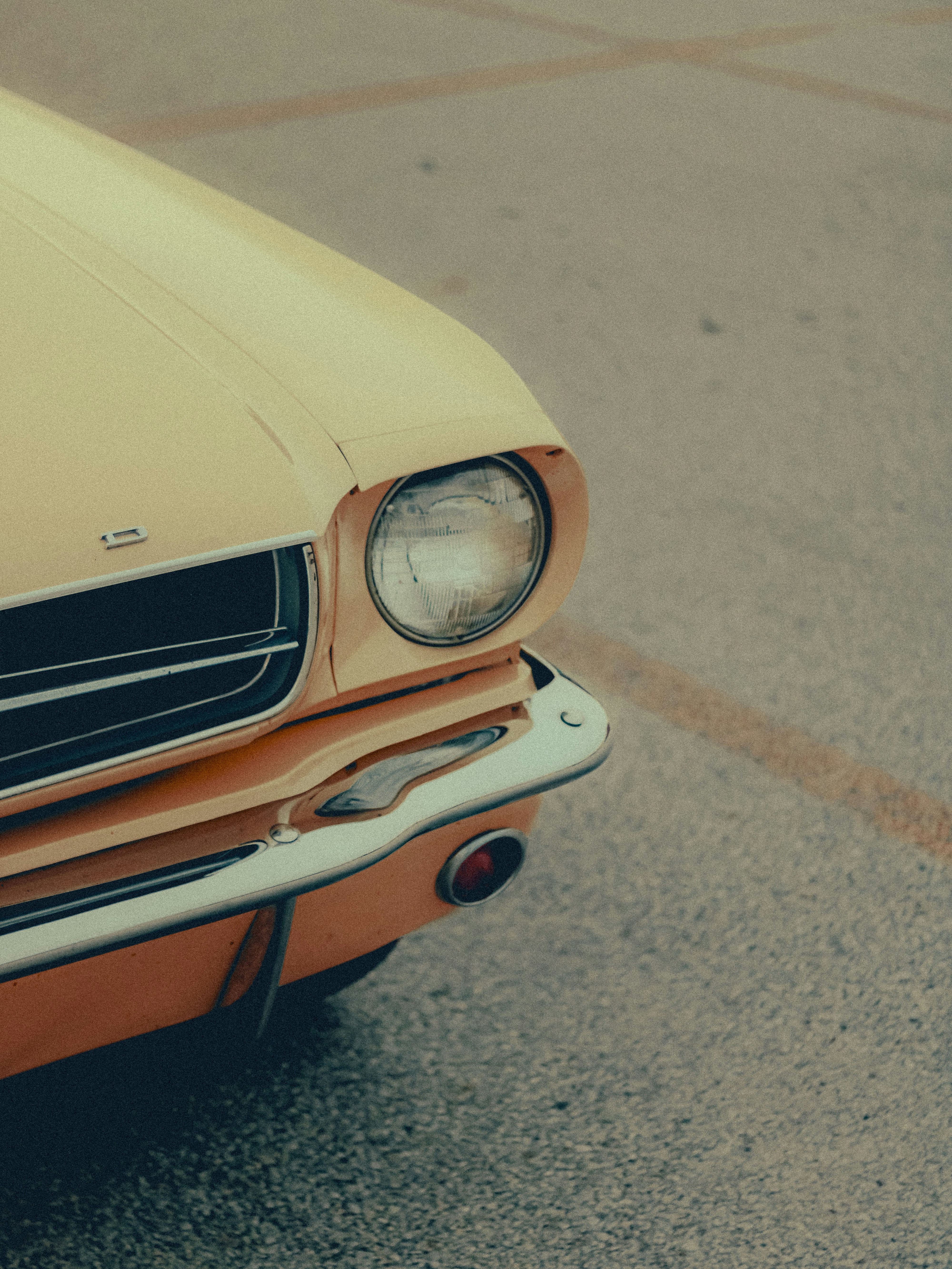 Photo by linusbelanger