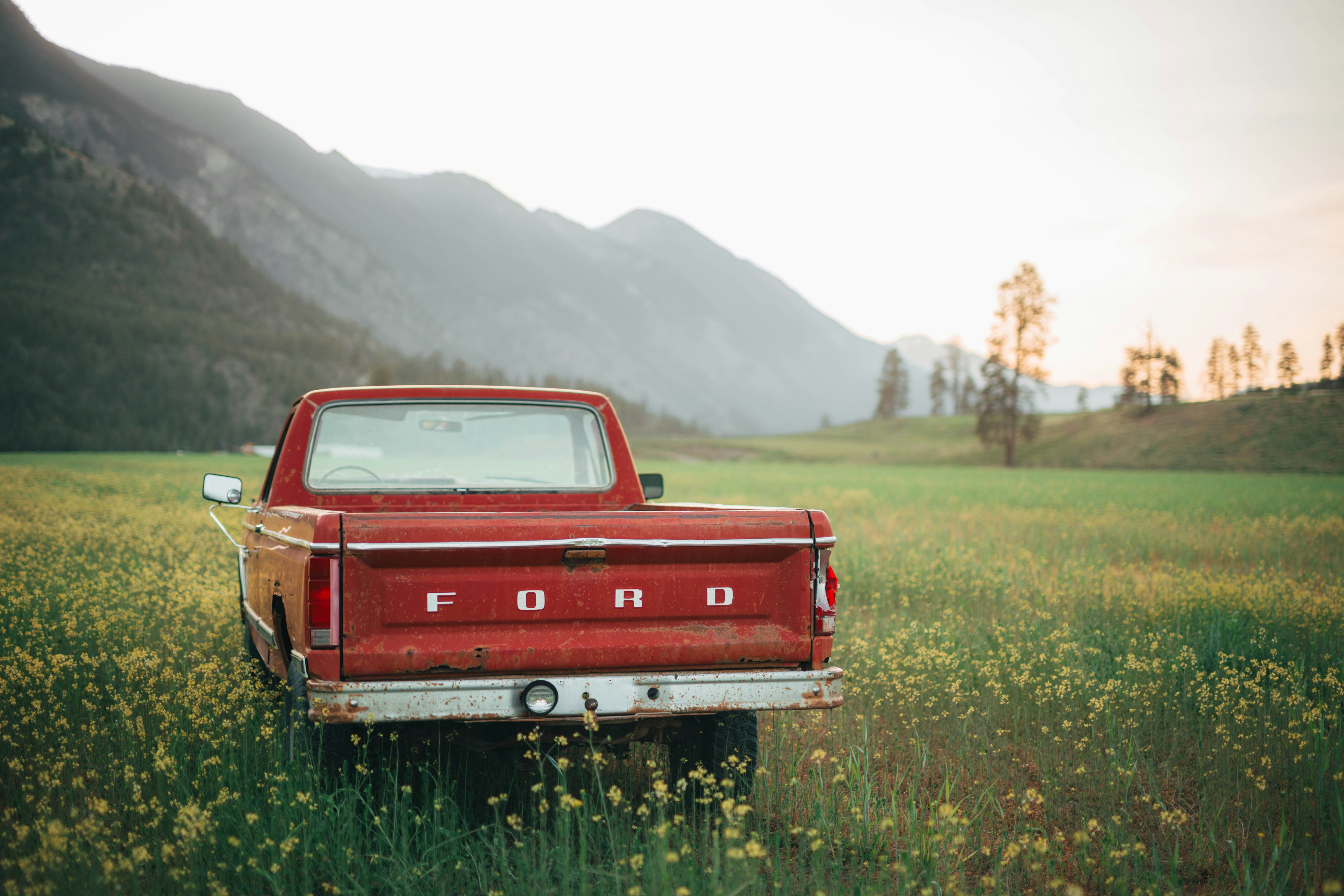 Hernia Surgery: Nutritional Standards For Prior To And After The Treatment