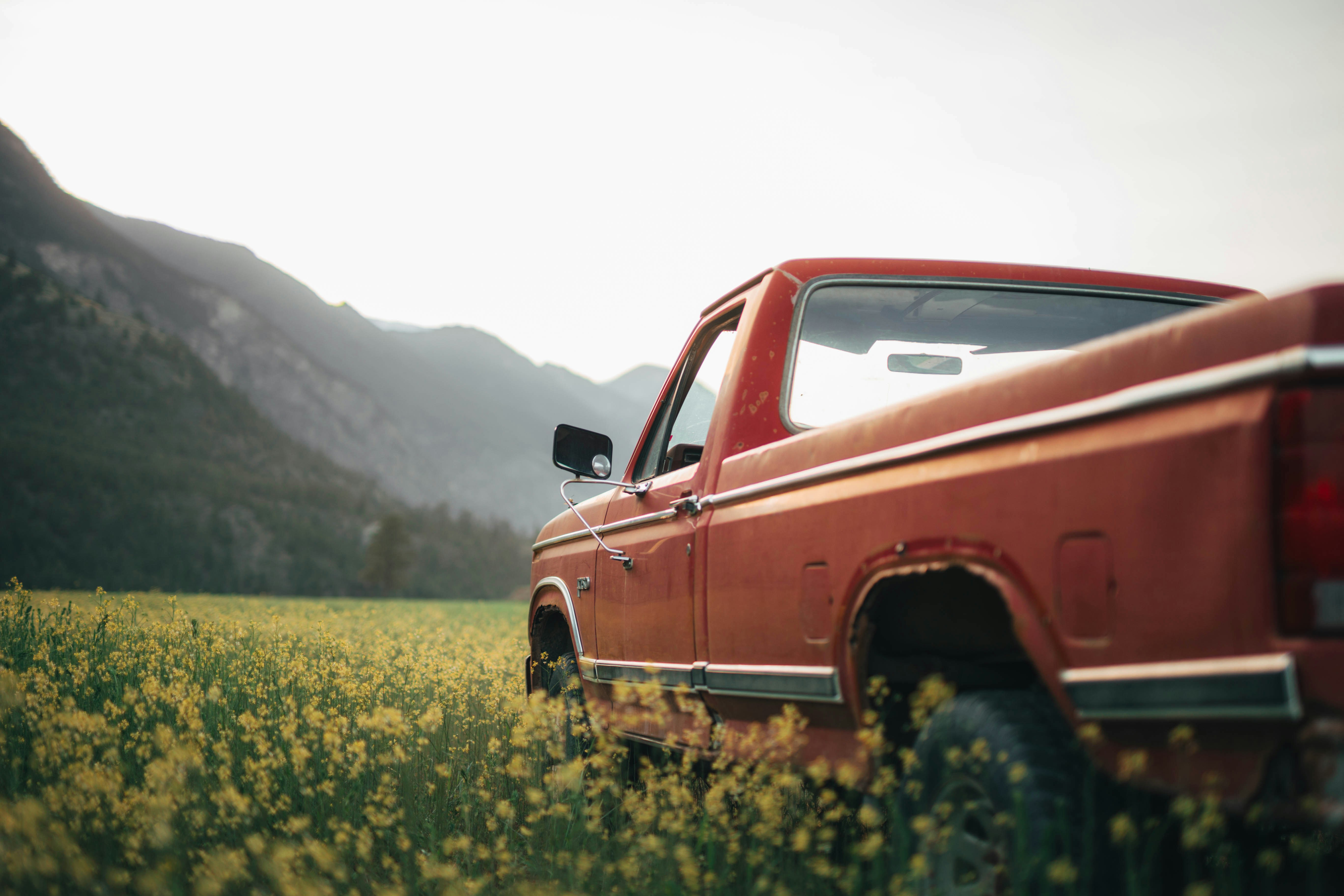 Photo by amanda_2703