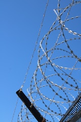 Barbed wire fences under a clear, blue sky.