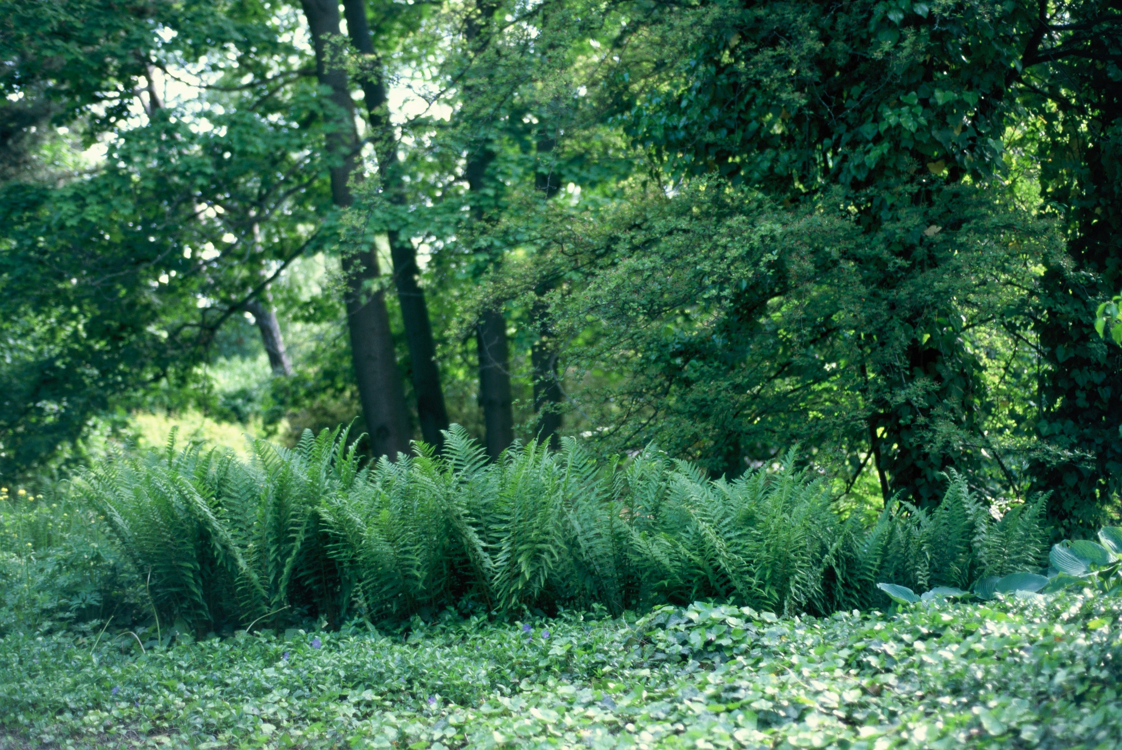 Land Improvement | Blizzard Management Plus's image