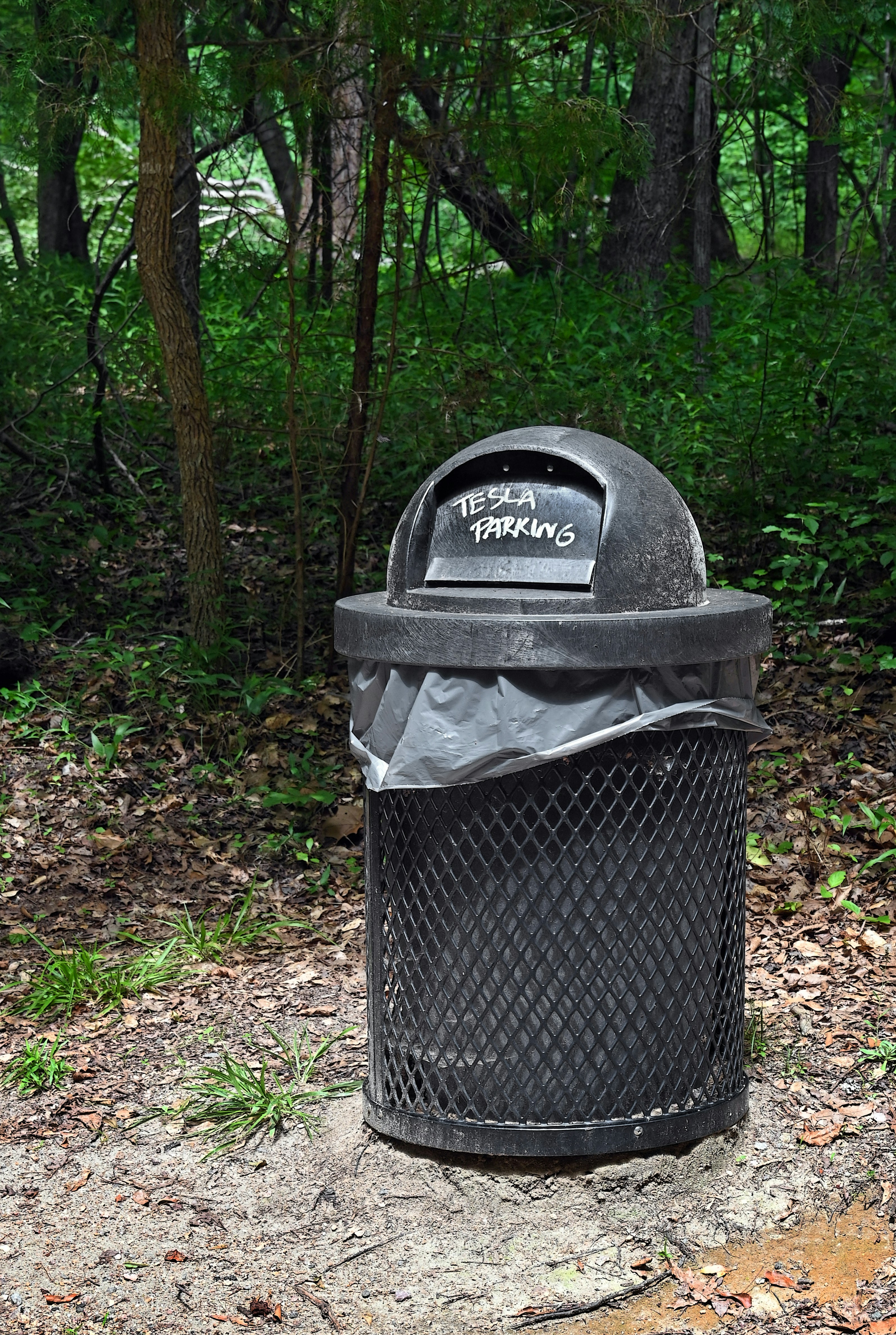 Trash can in a forest that reads "tesla parking."
