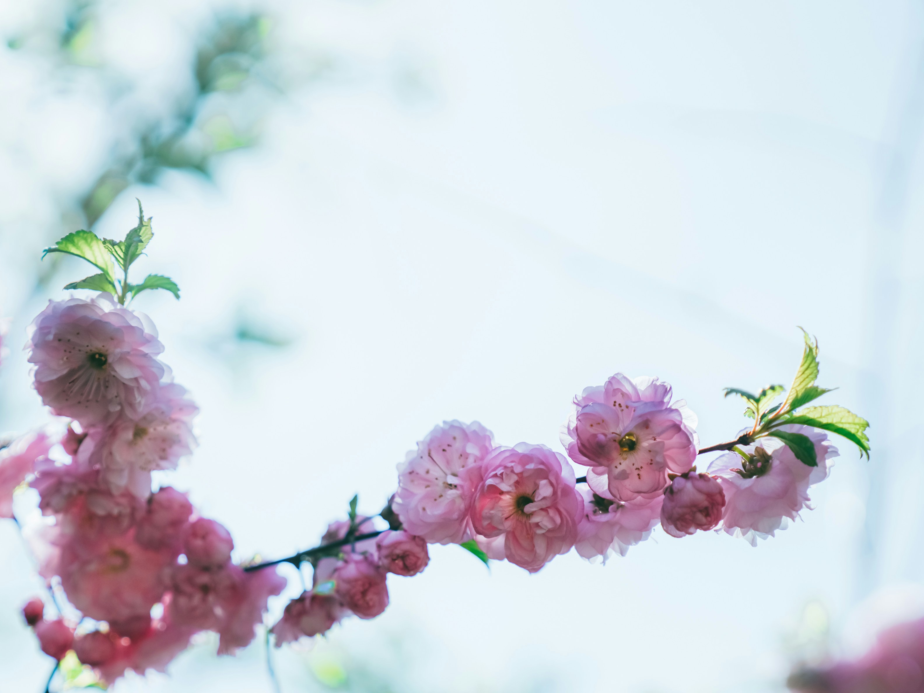 Photo by mineral_of_demon