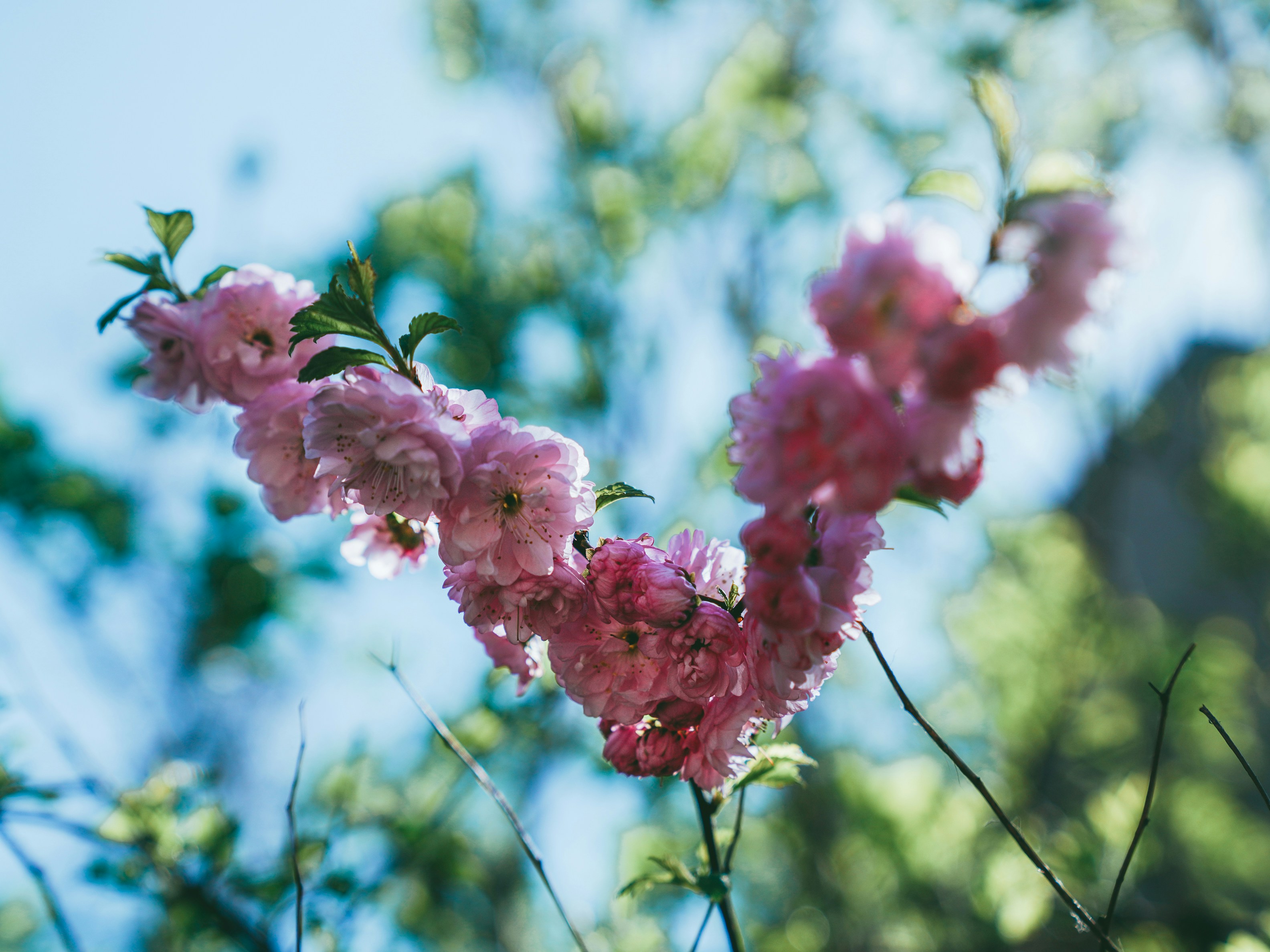 Photo by mineral_of_demon