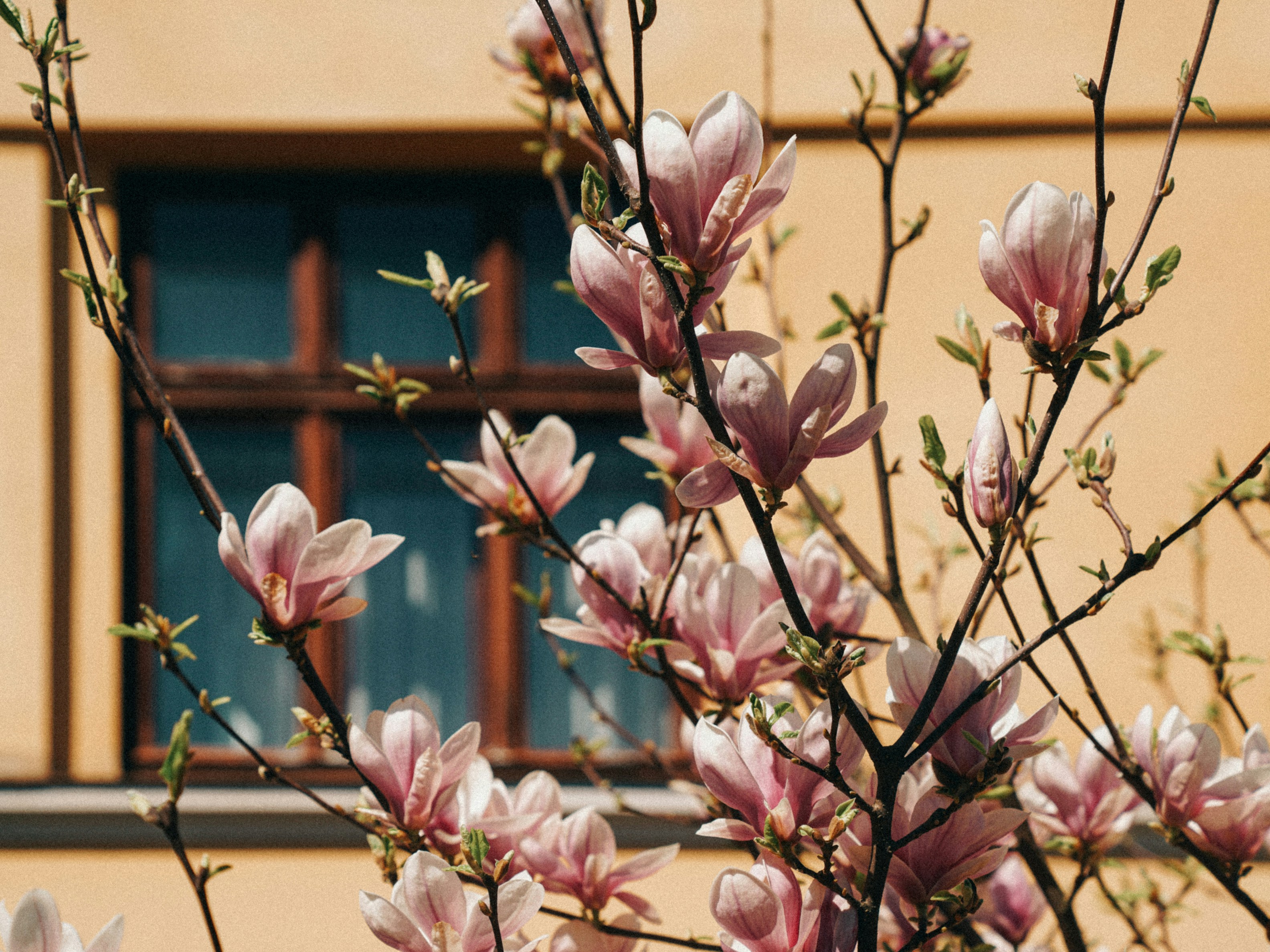 Photo by mineral_of_demon