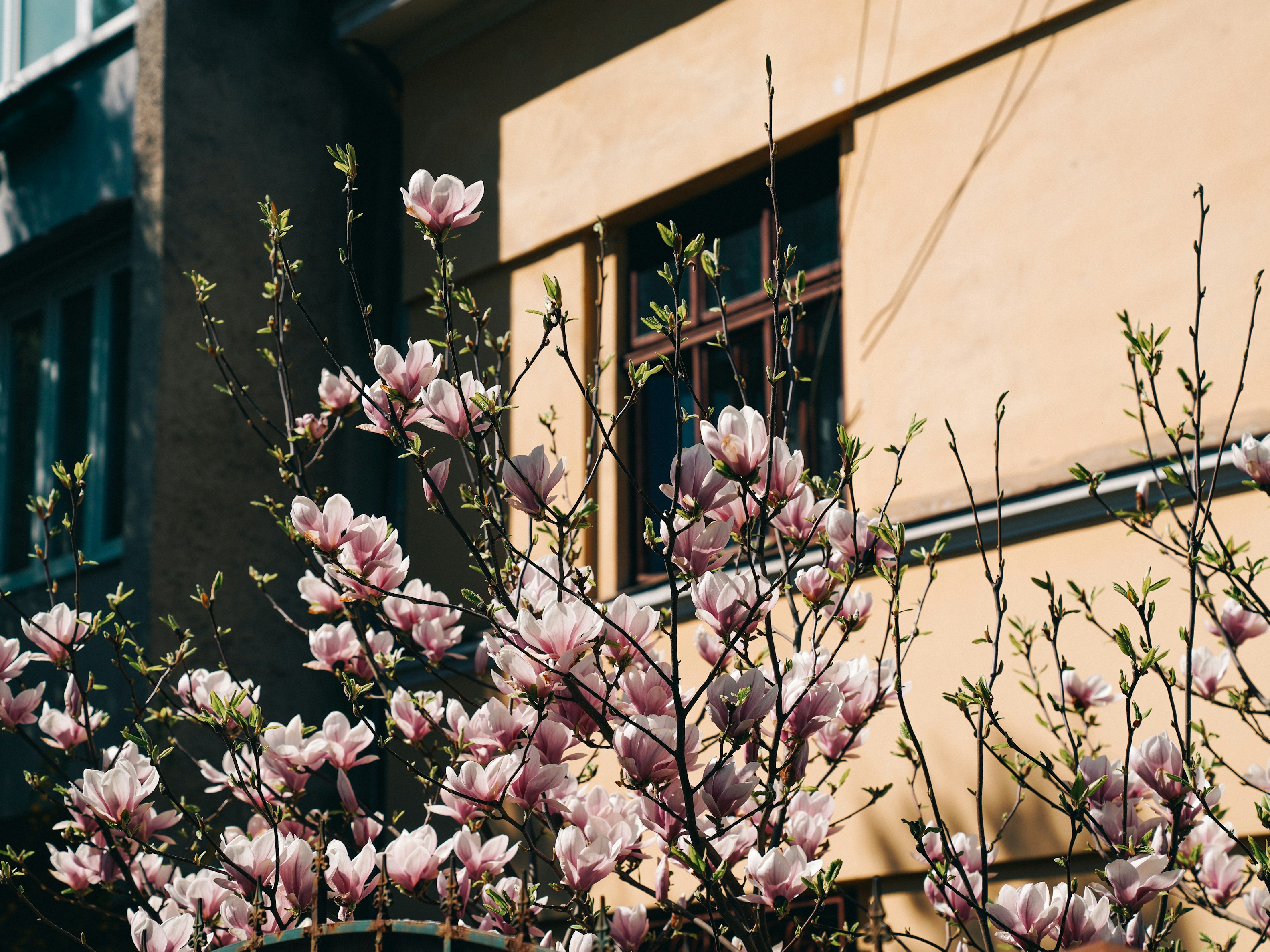 Photo by mineral_of_demon