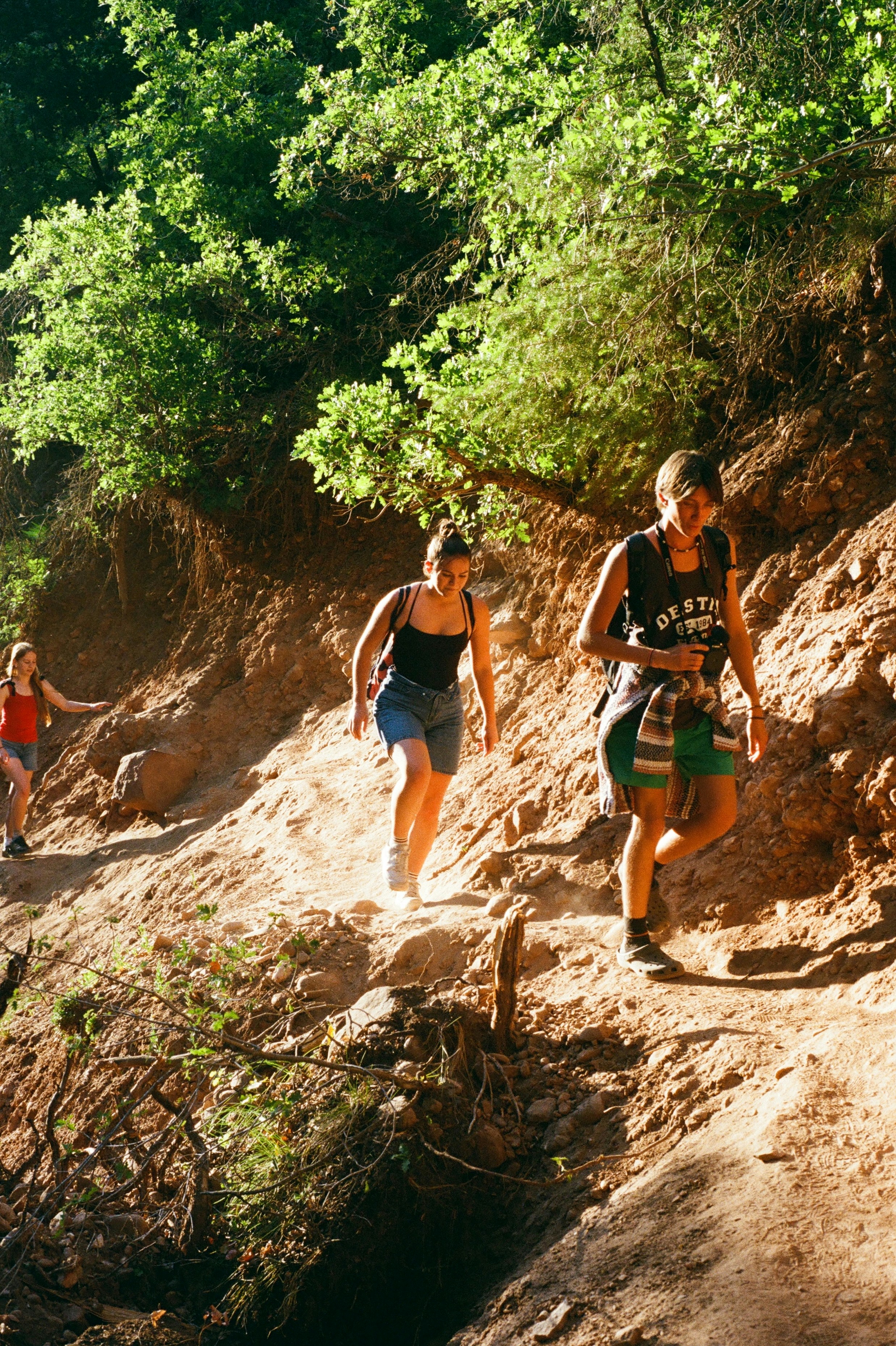6 Beginner Trail Running Events With Manageable Elevation Gain