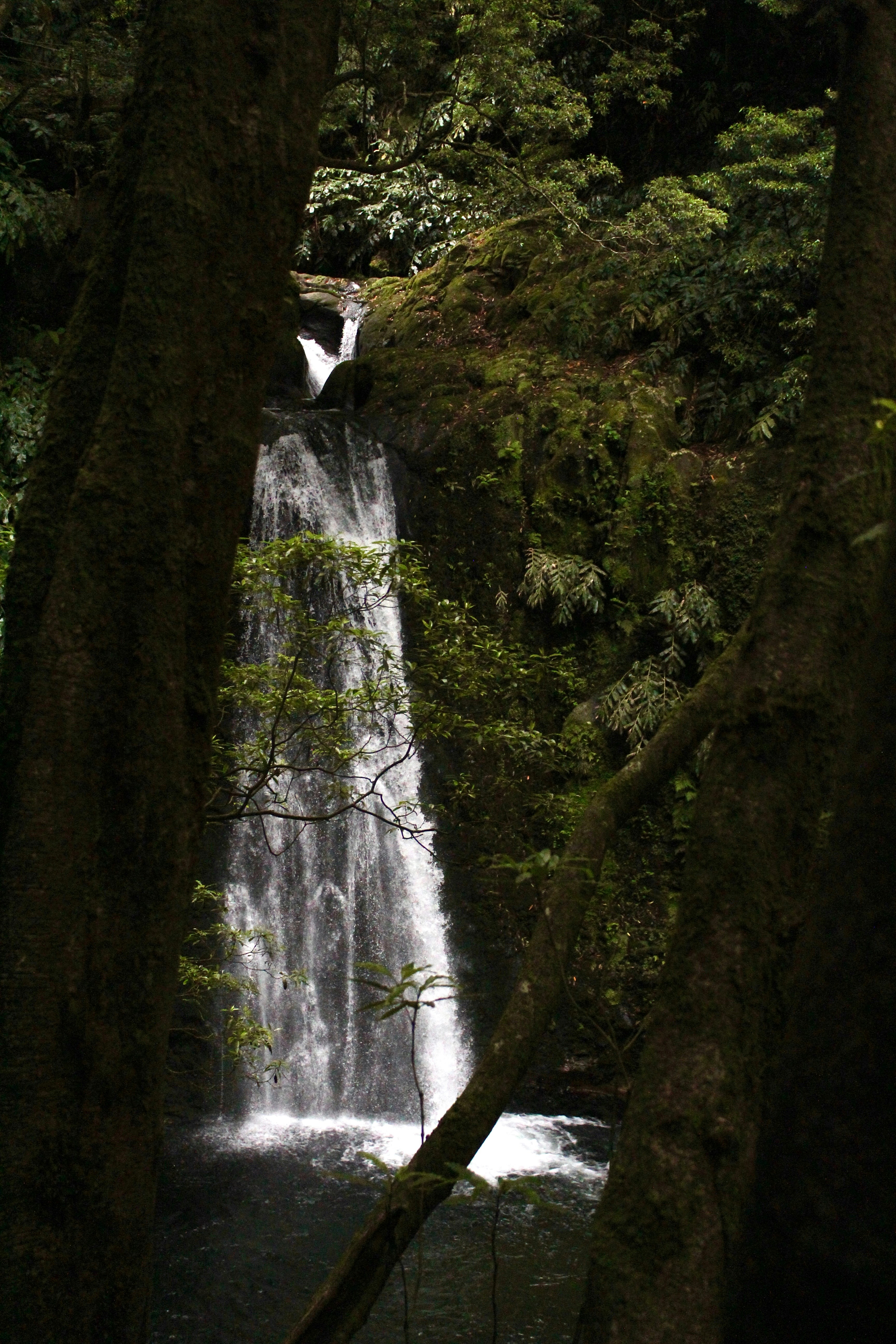 Photo by mia_mackenzie