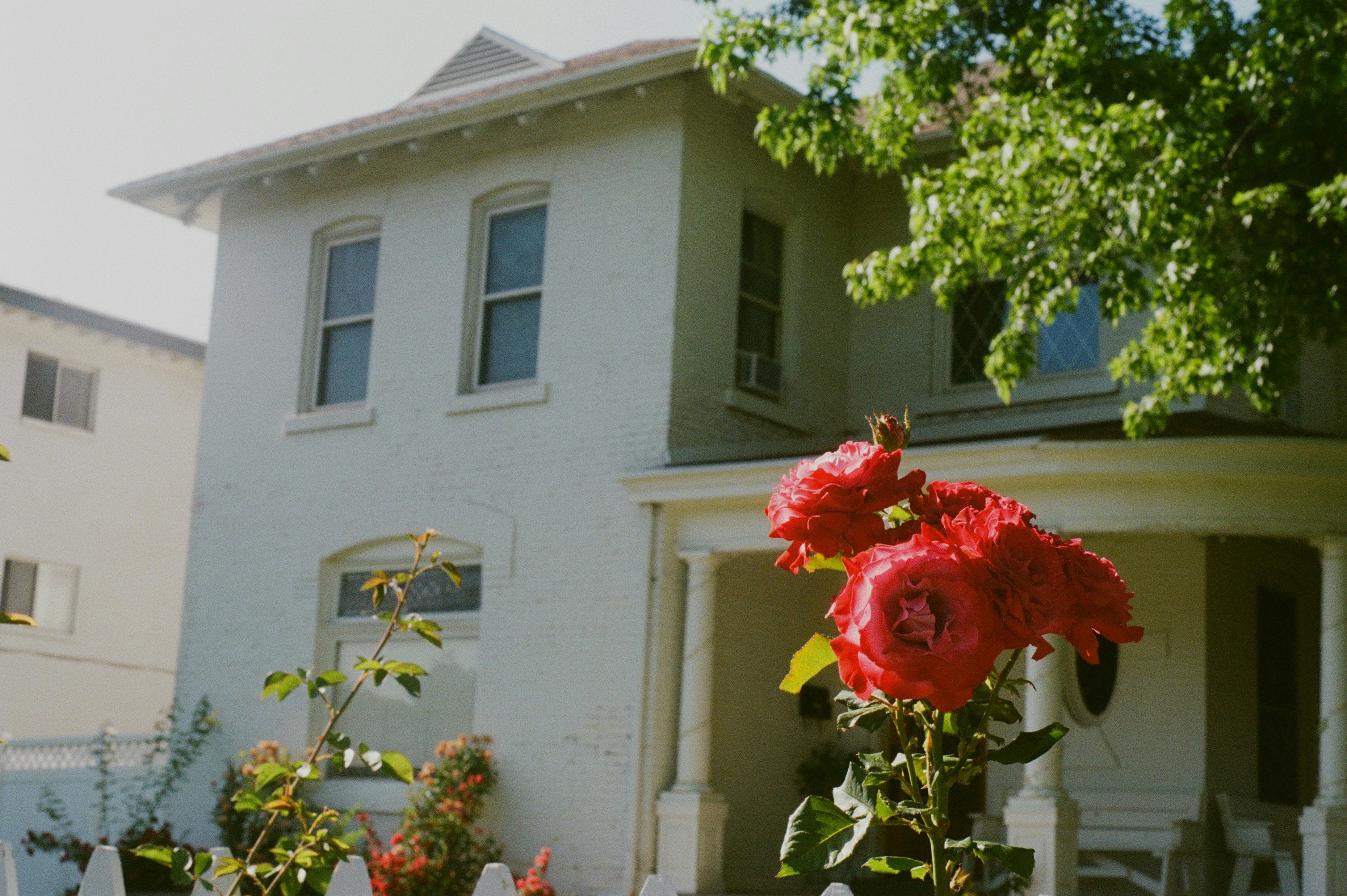 Photo by noahgremmert1