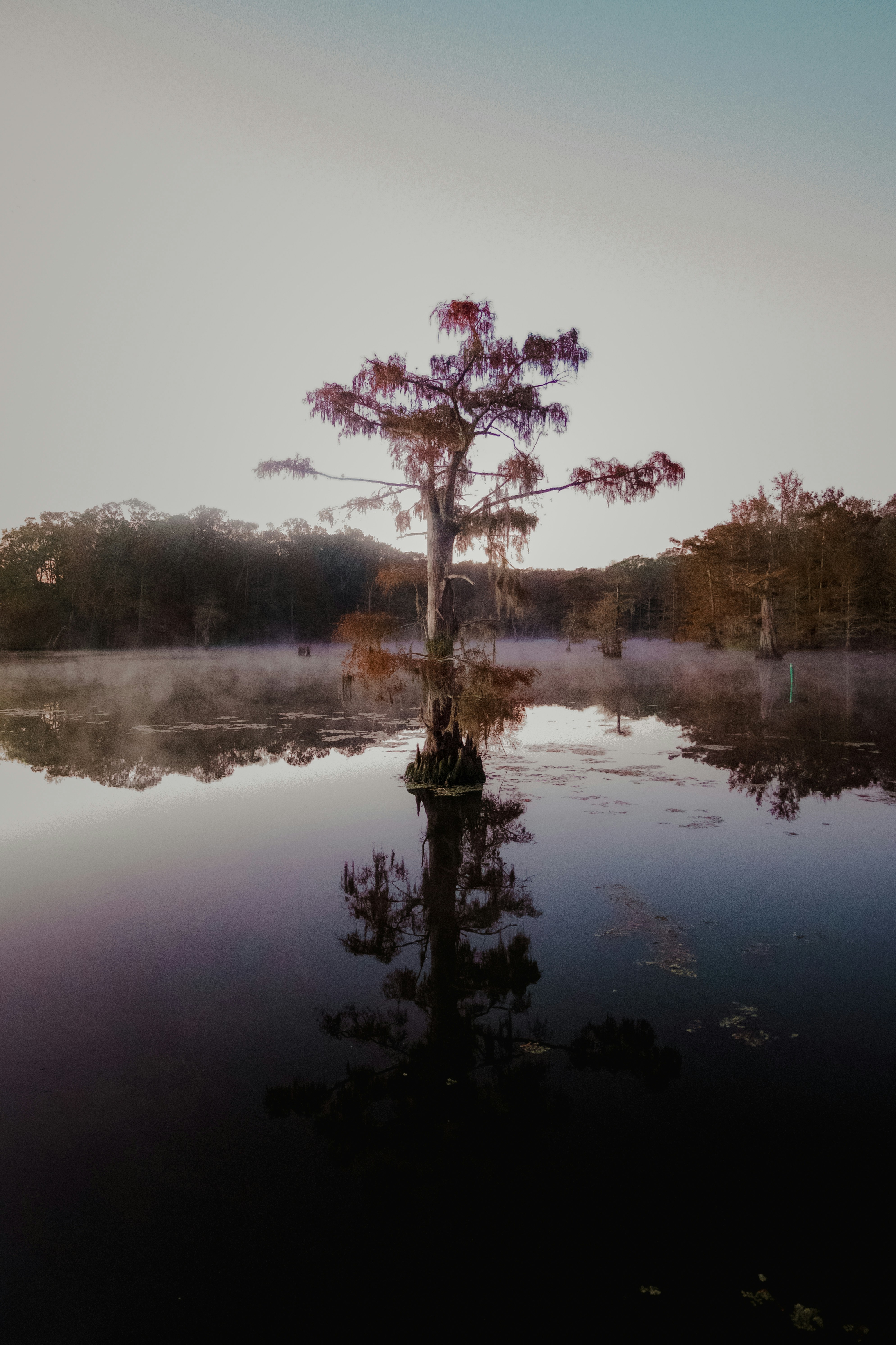 Photo by rhodesinfocus