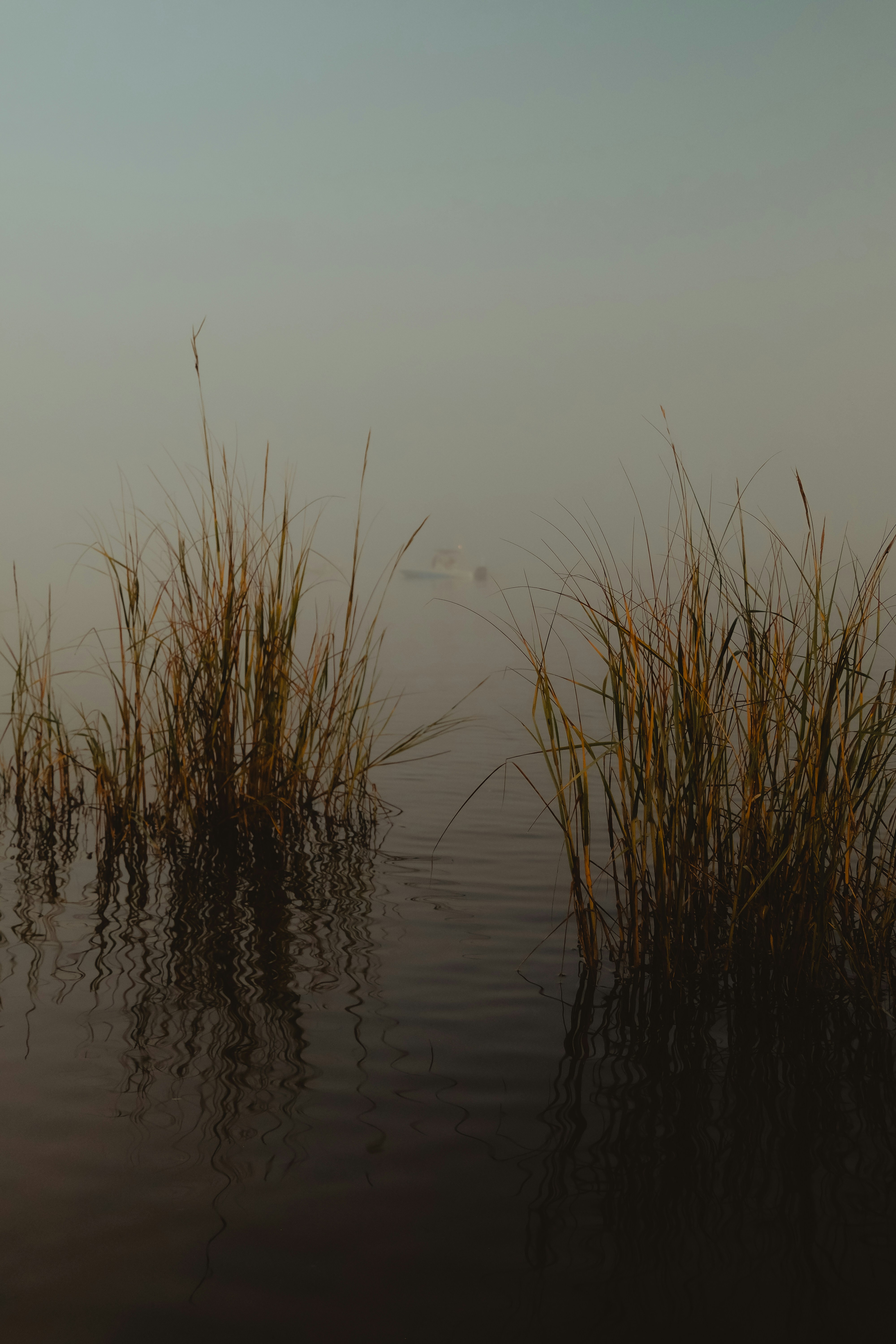 Photo by rhodesinfocus