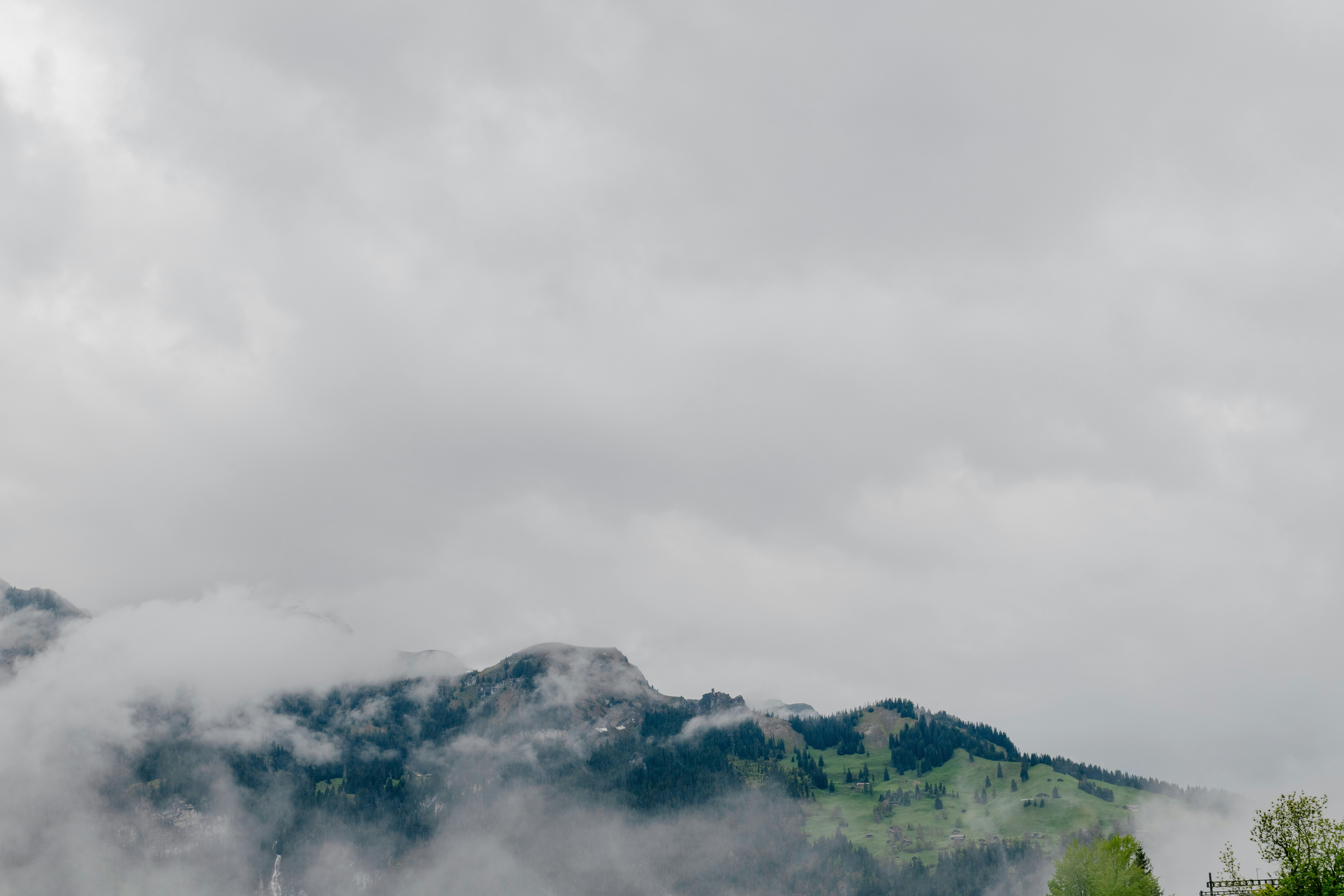 Photo by sriniunsplash