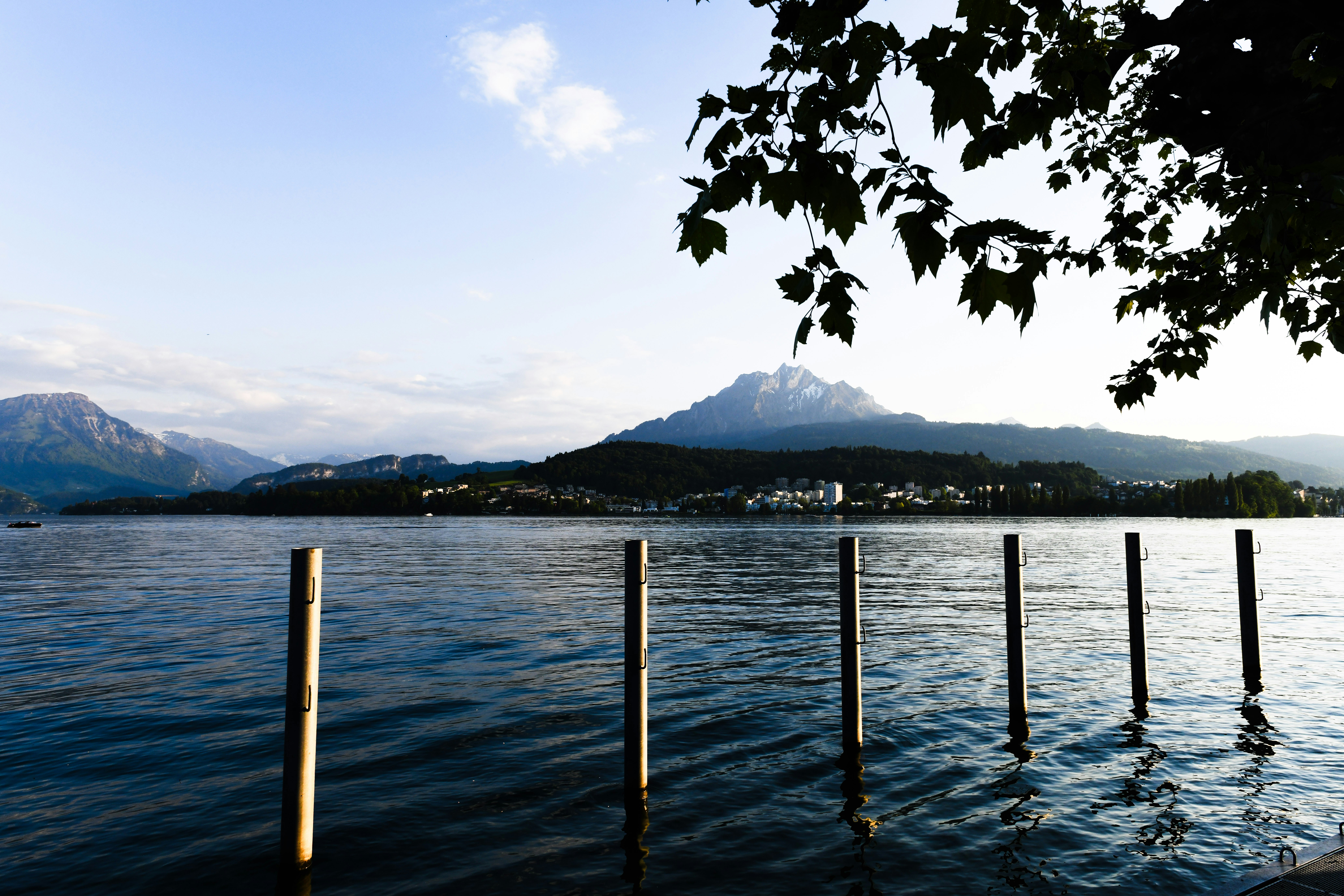 Photo by sriniunsplash