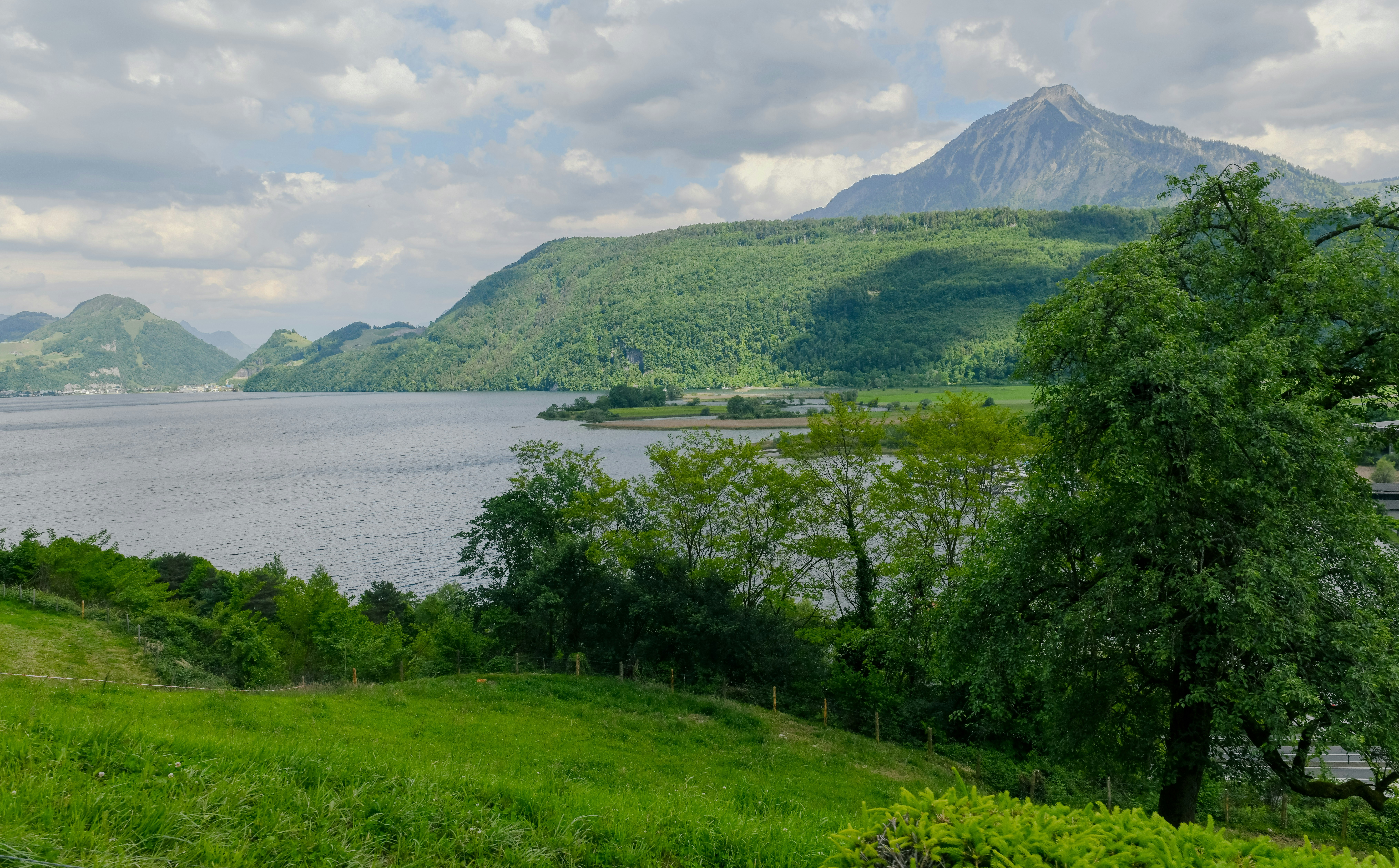 Photo by sriniunsplash