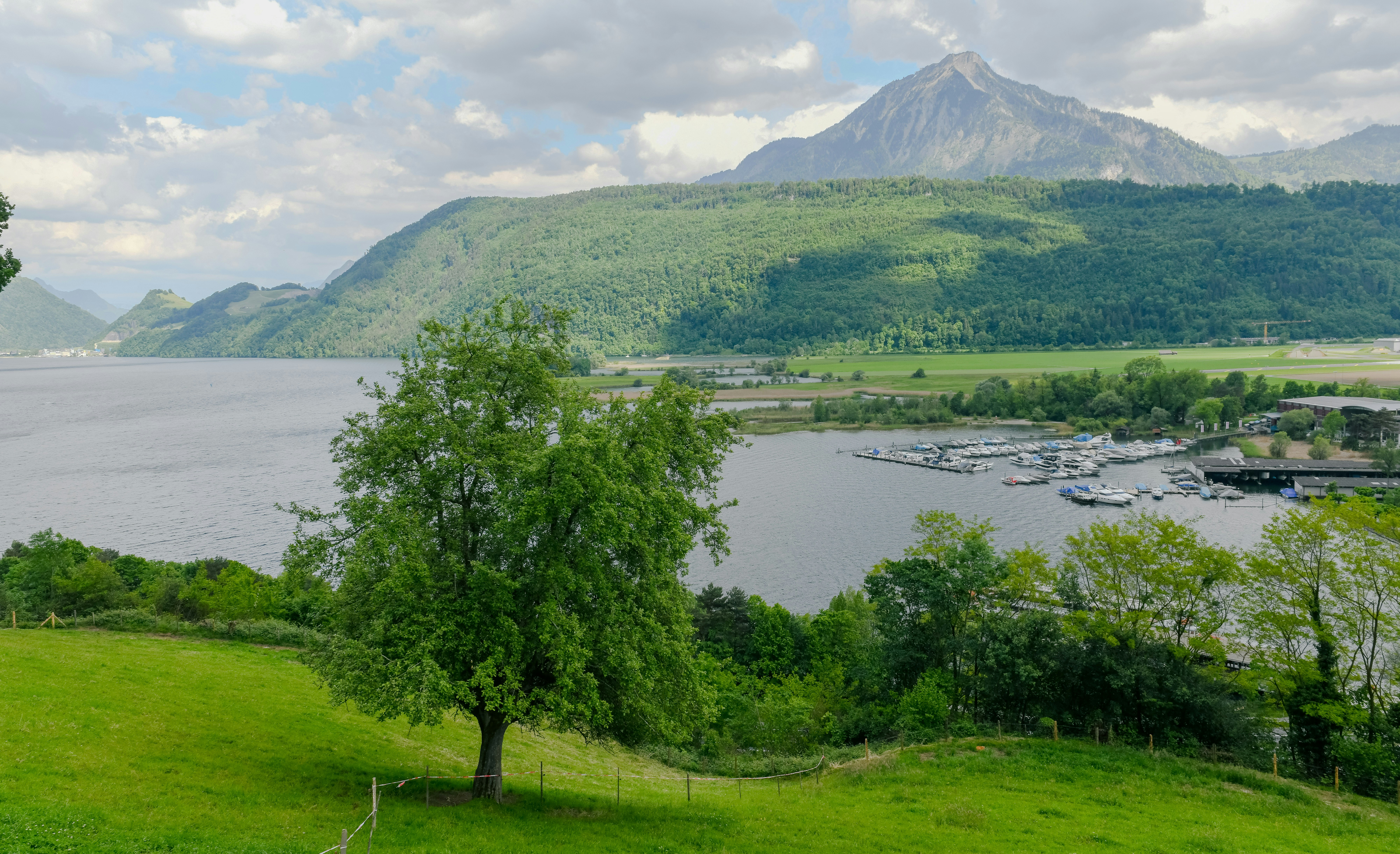 Photo by sriniunsplash