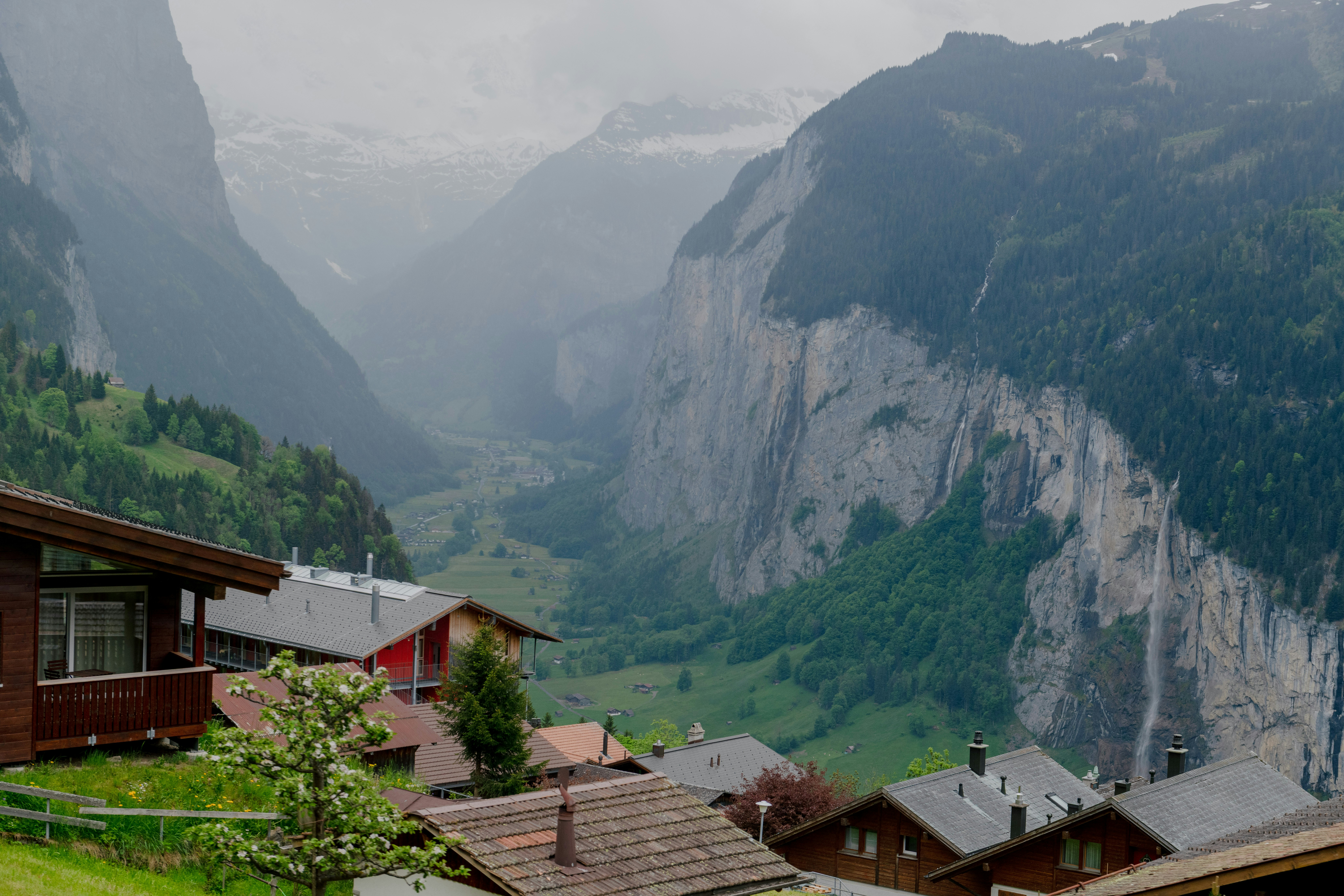 Photo by sriniunsplash