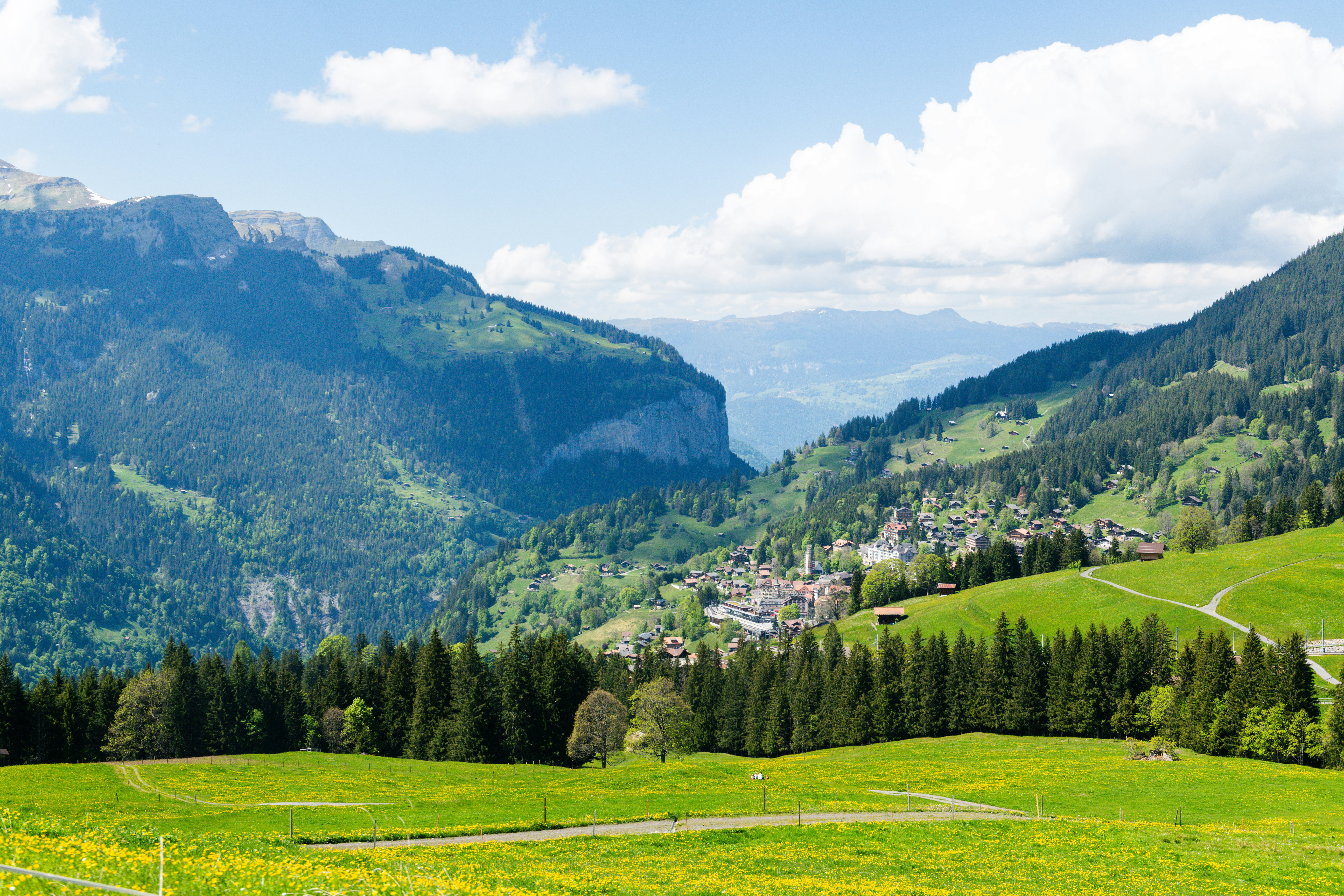 Photo by sriniunsplash