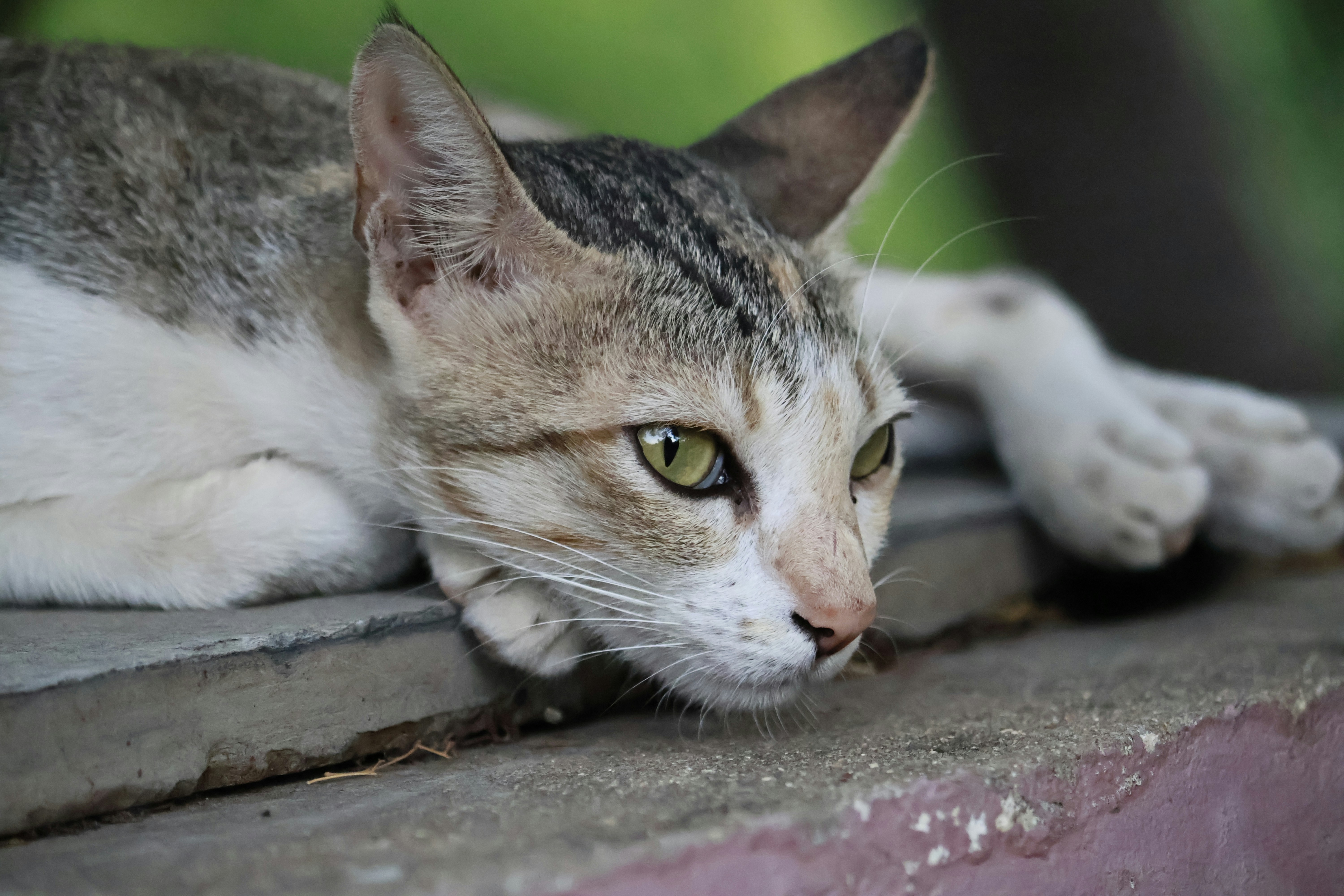 Photo by bakkiya2197