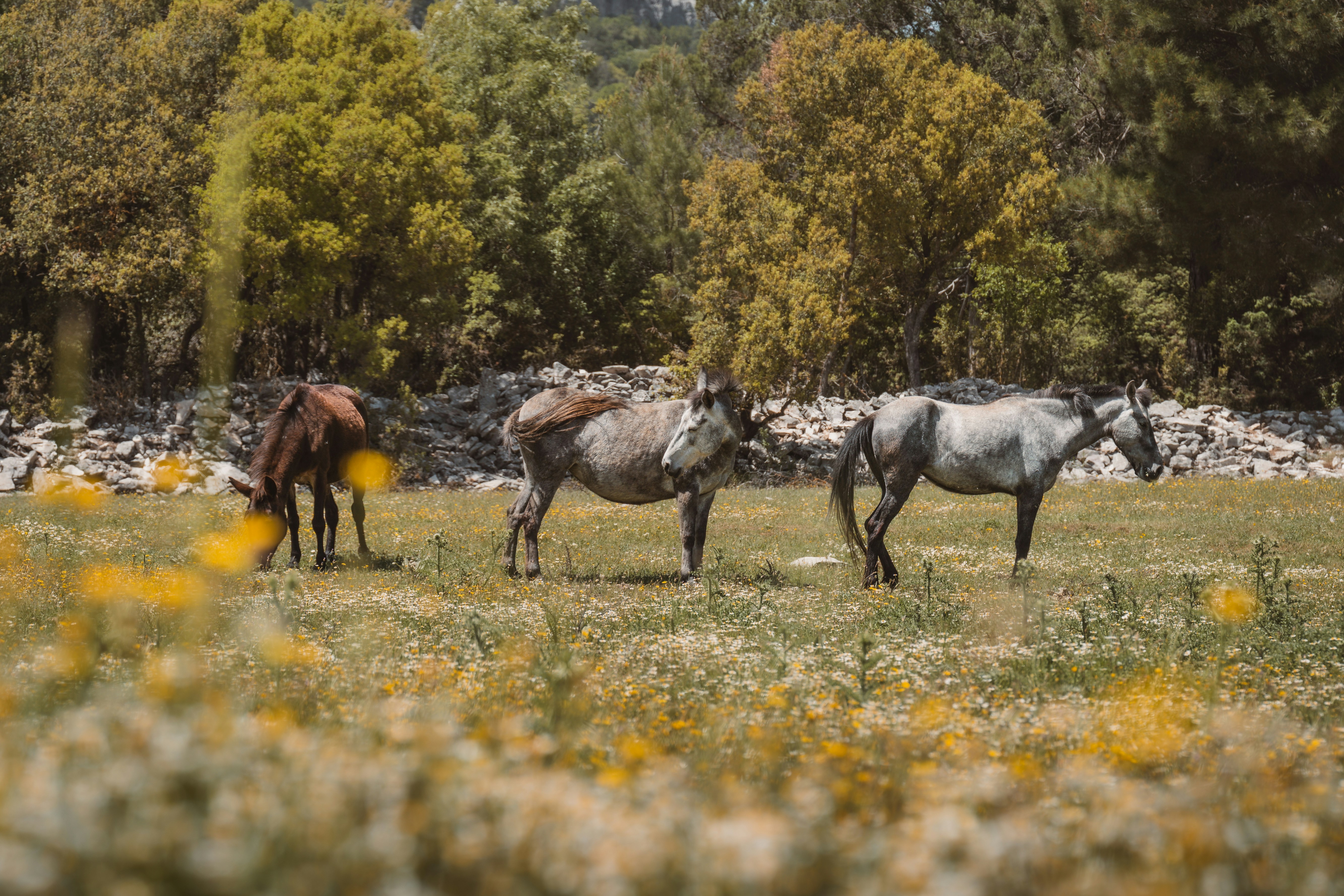 Photo by ahmetyuksek