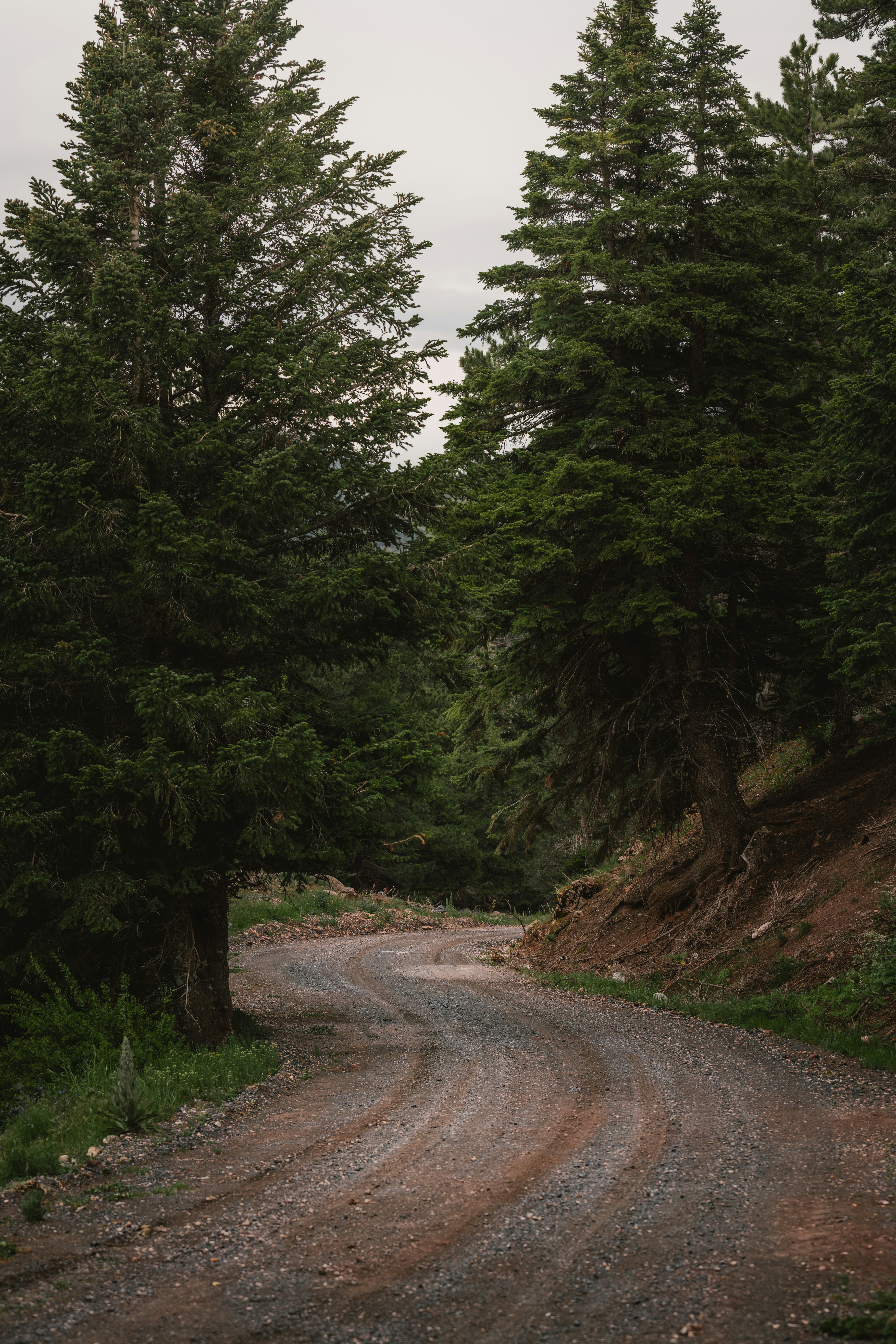 Photo by ahmetyuksek