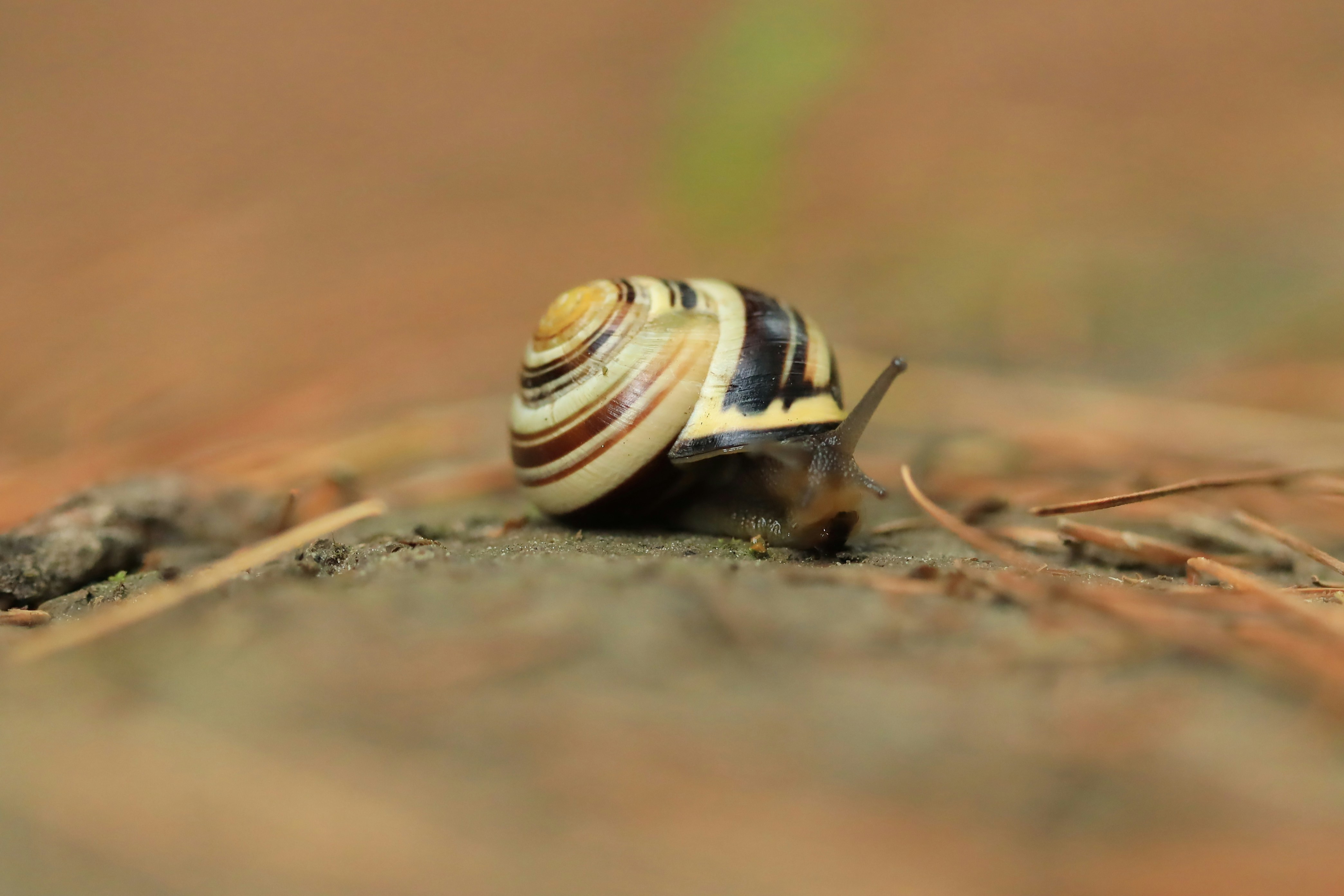 Photo by richardworks