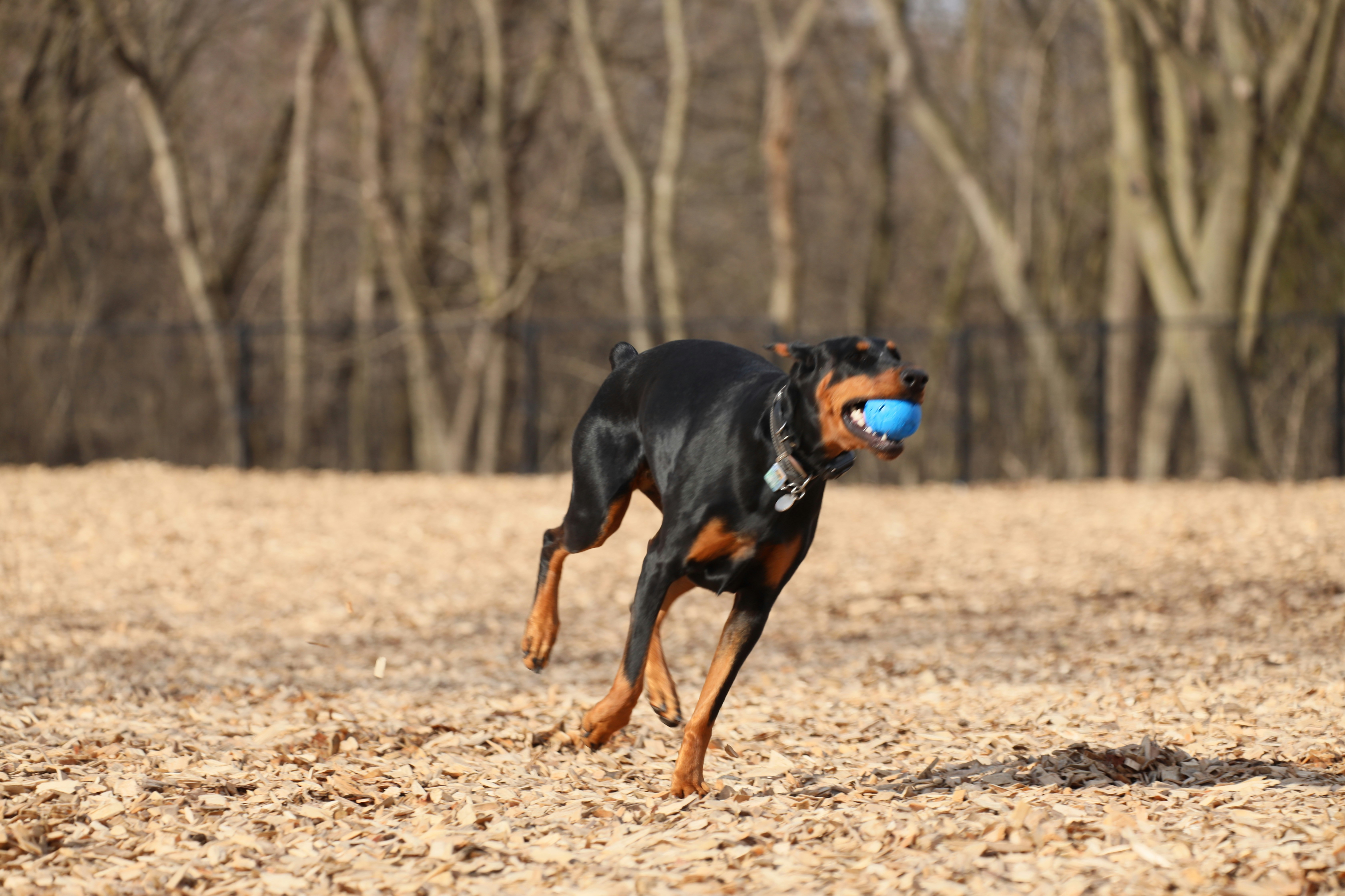 Photo by richardworks