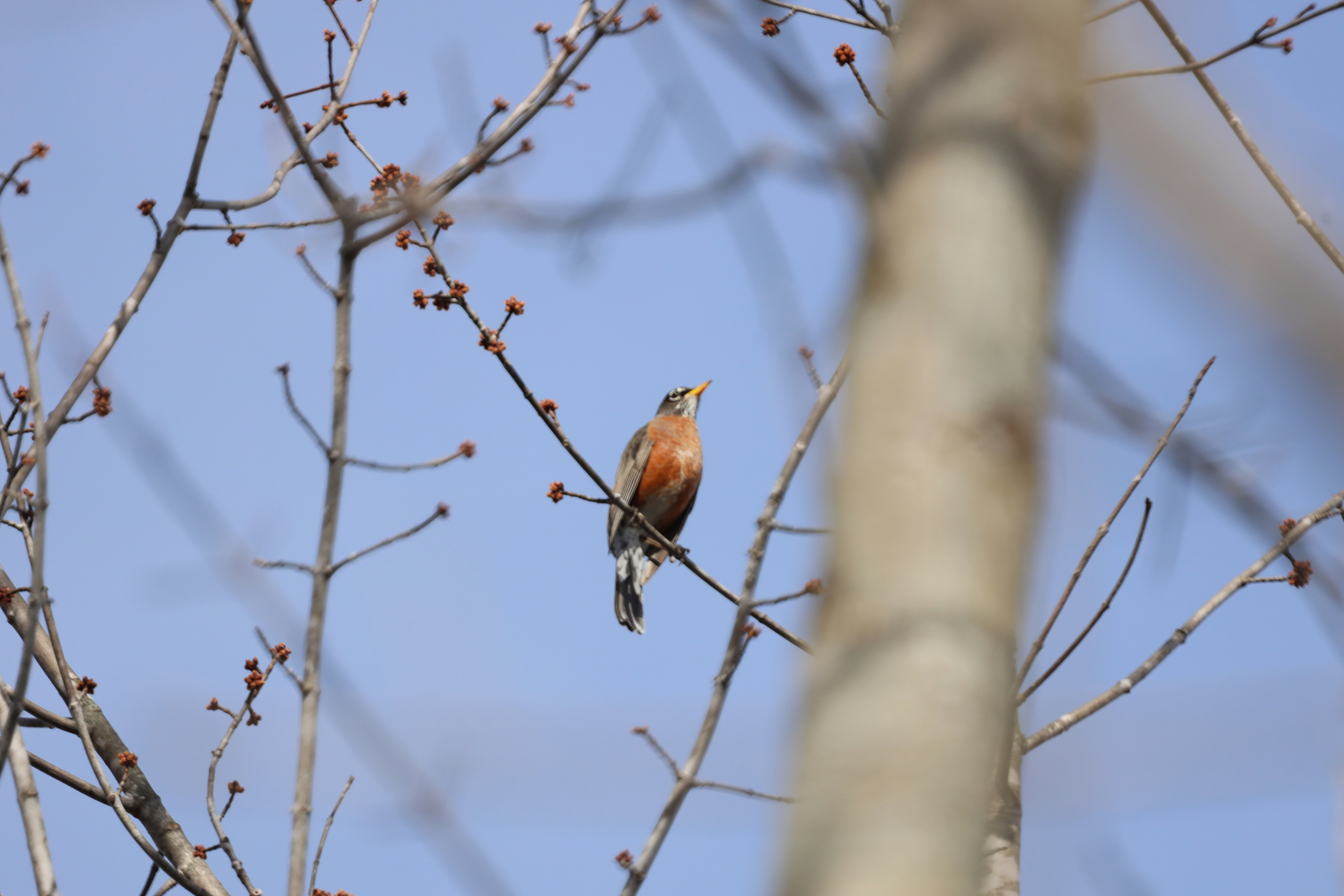 Photo by richardworks