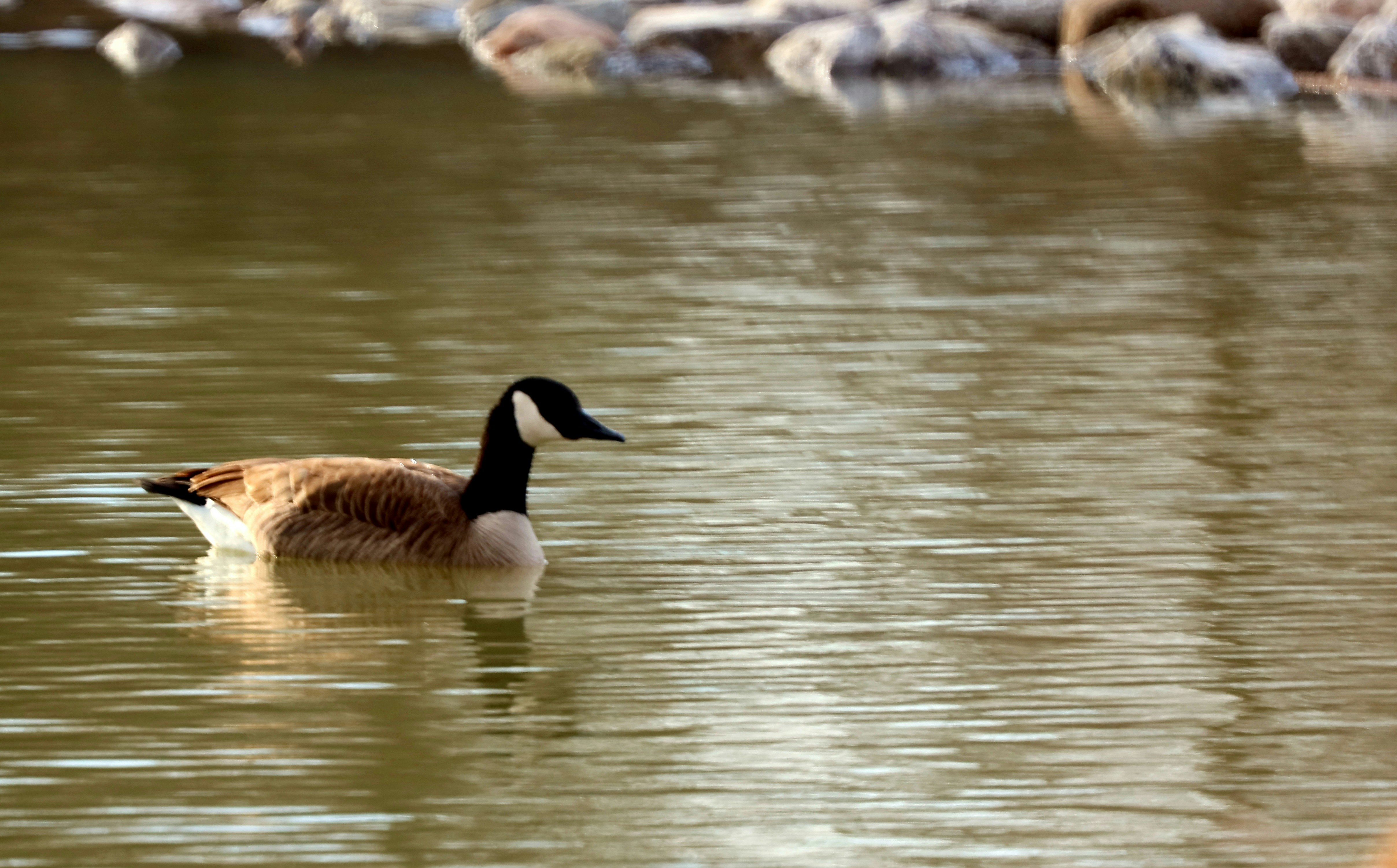 Photo by richardworks