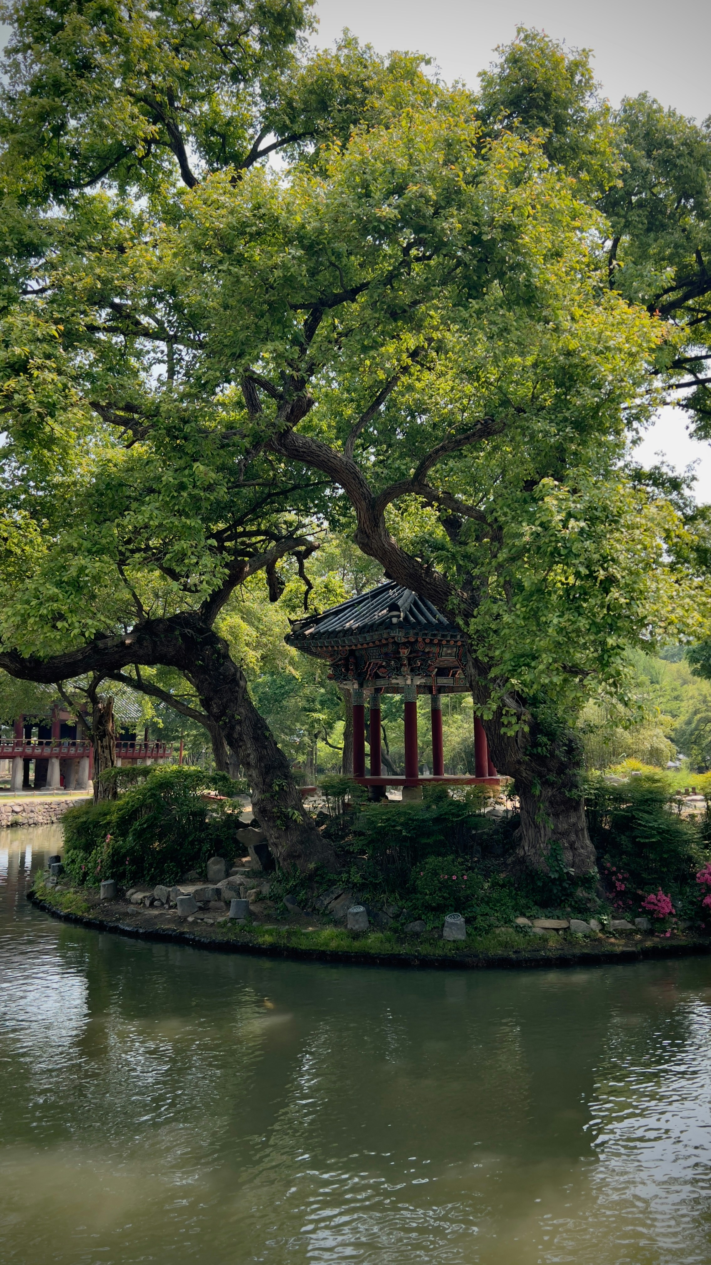 Photo by kimsanghyuk