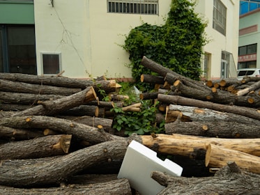 Logs are piled up in front of a building.