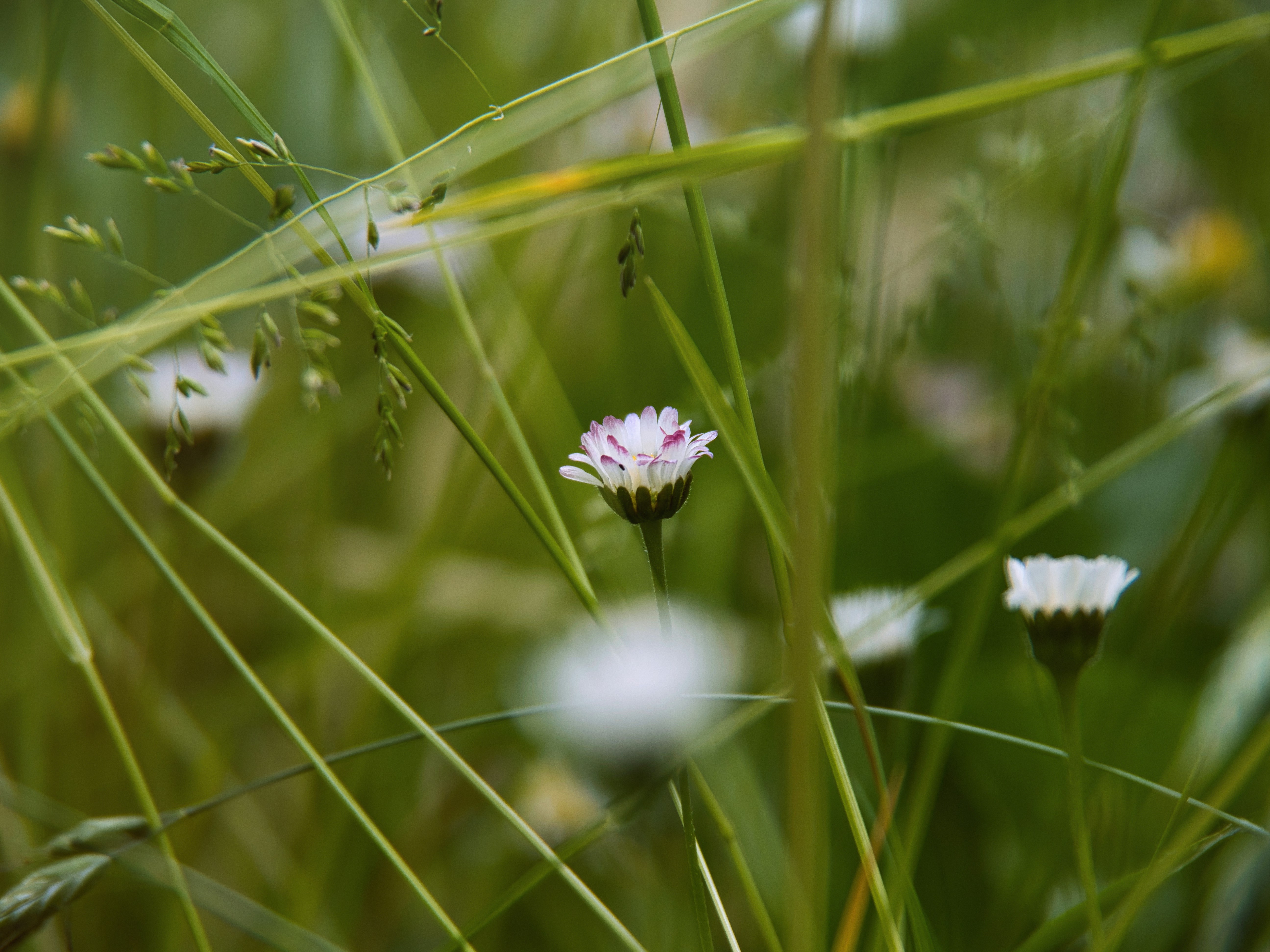 Photo by theskytales