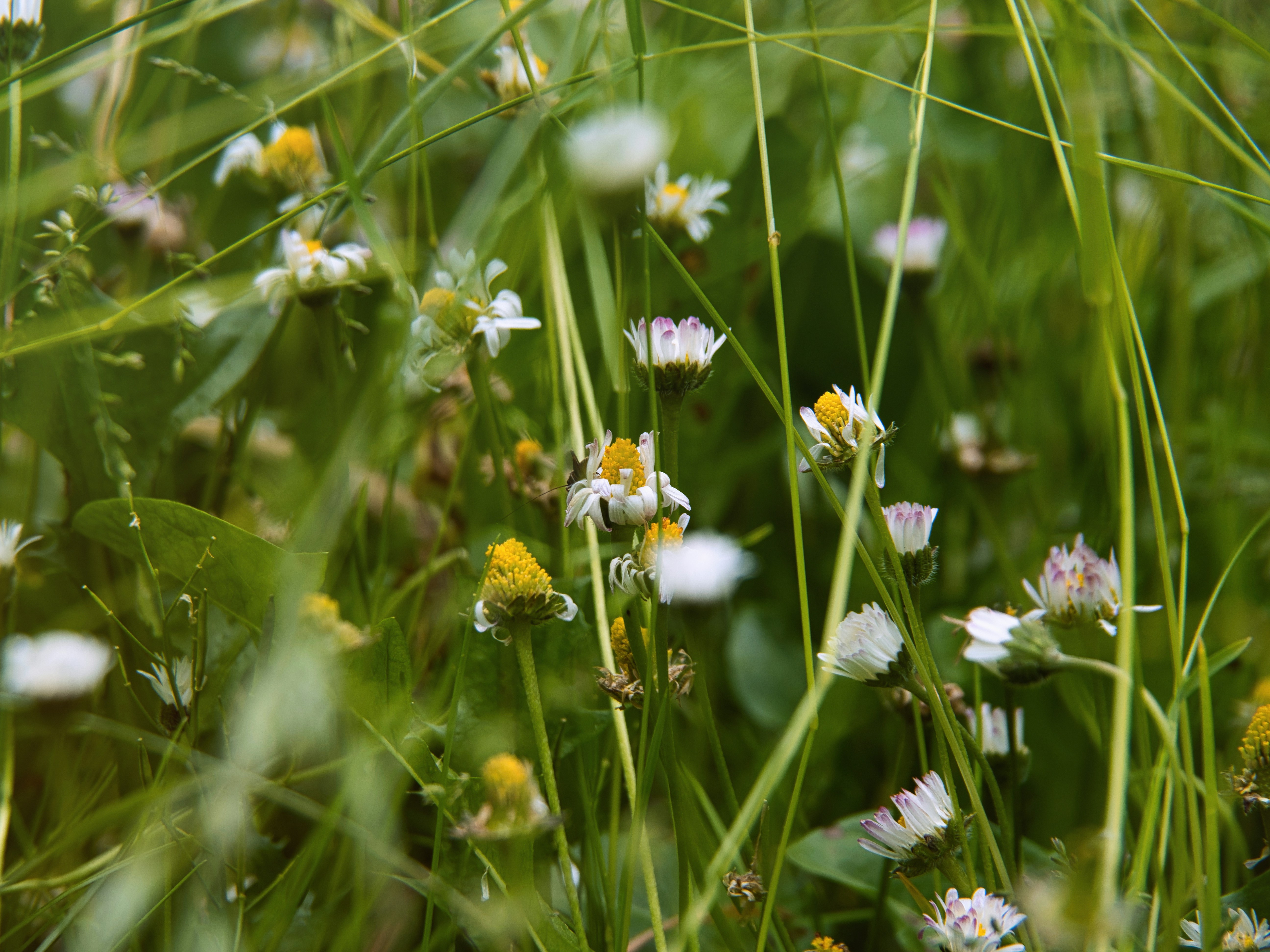 Photo by theskytales