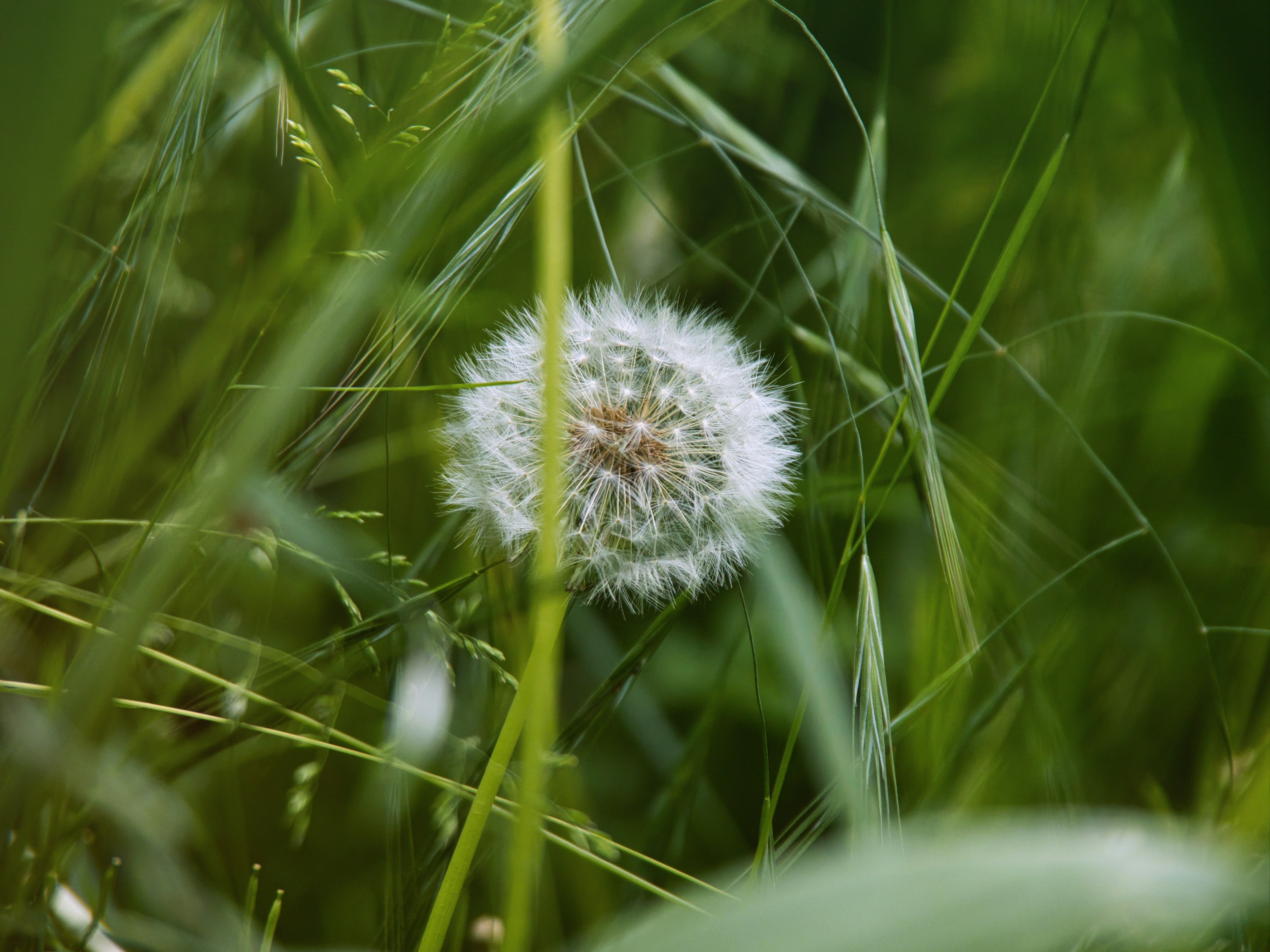 Photo by theskytales