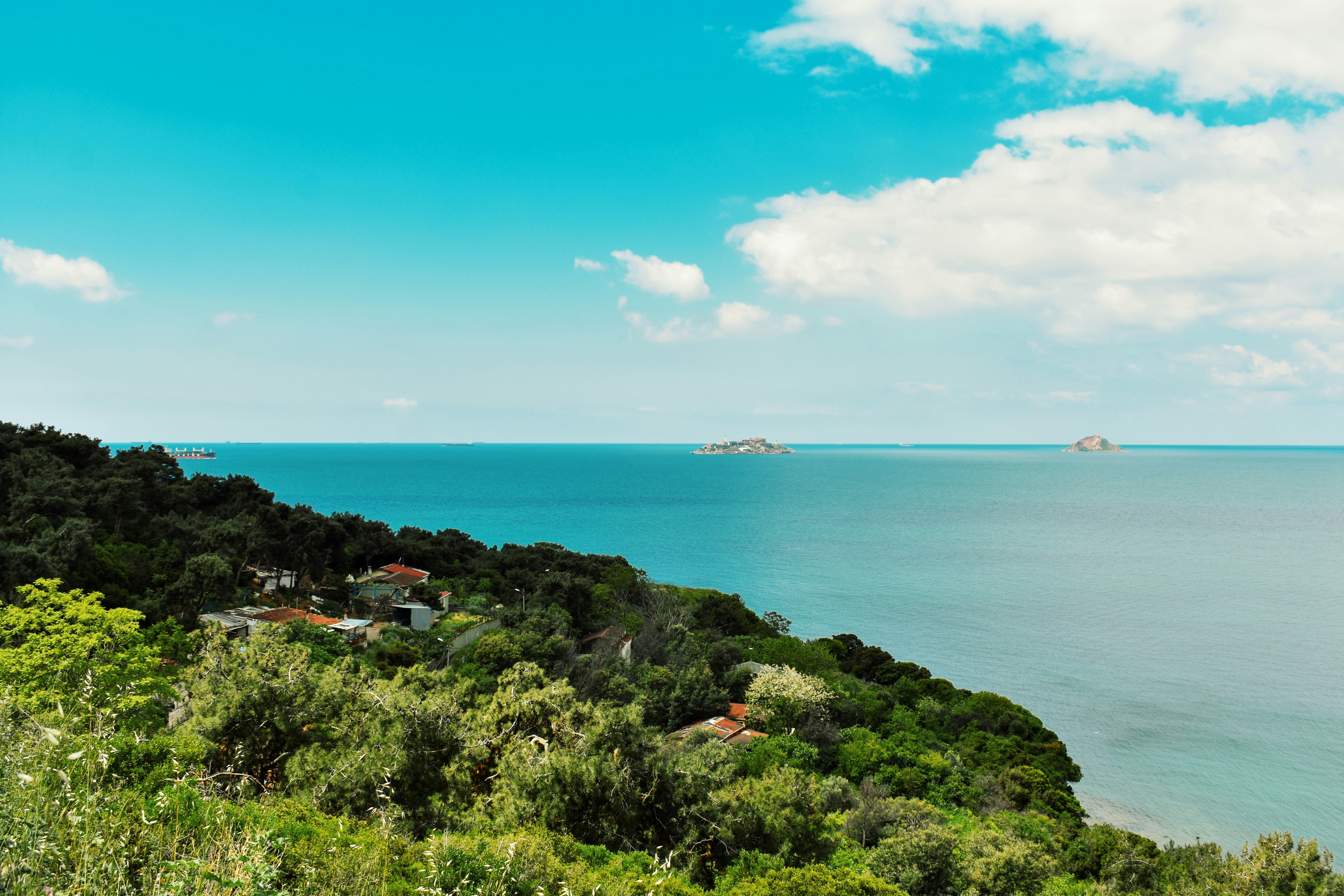 Photo by nisacokokumus