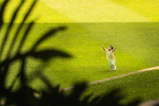 Child stands with arms raised in a green field.