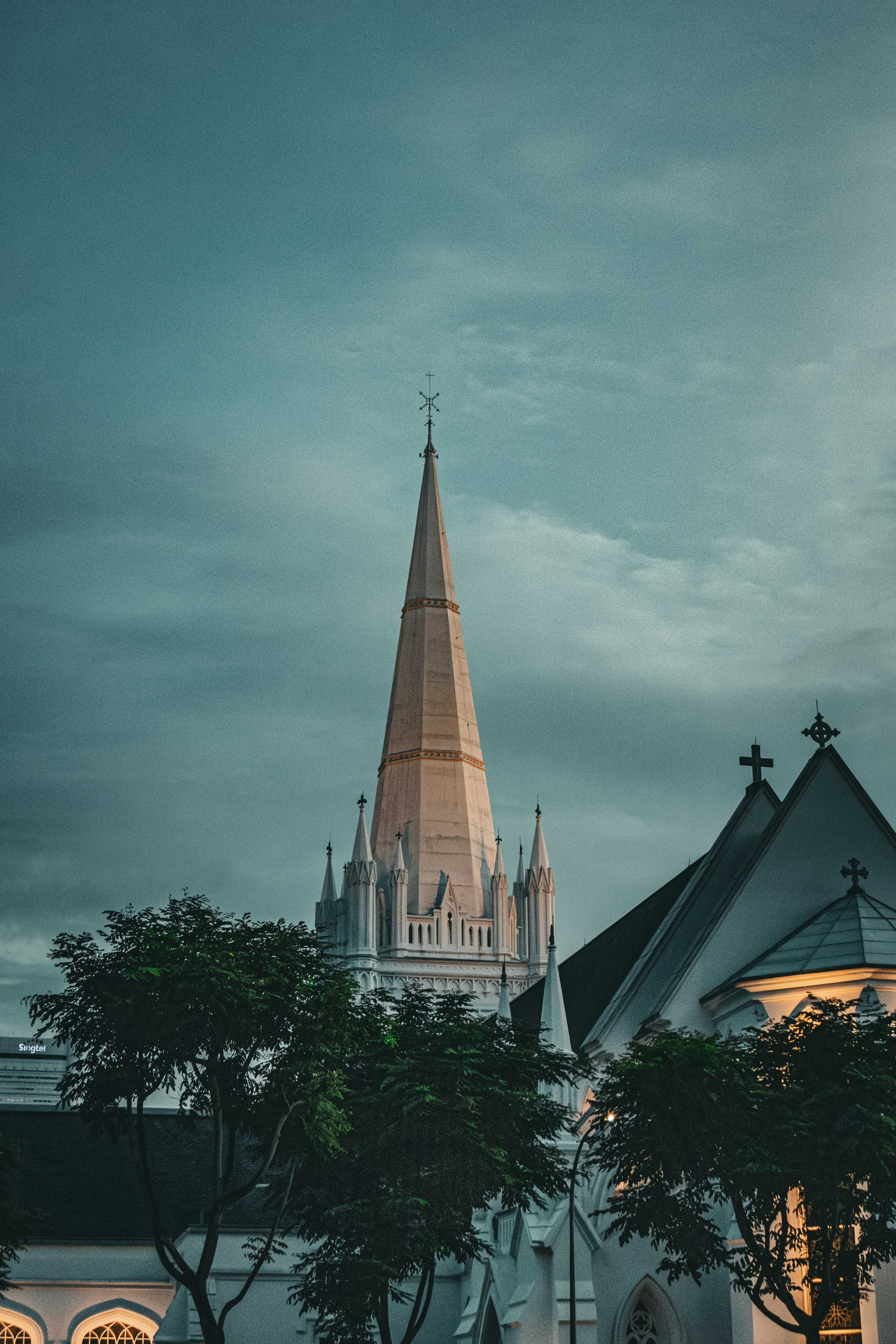 Photo by horseratbros