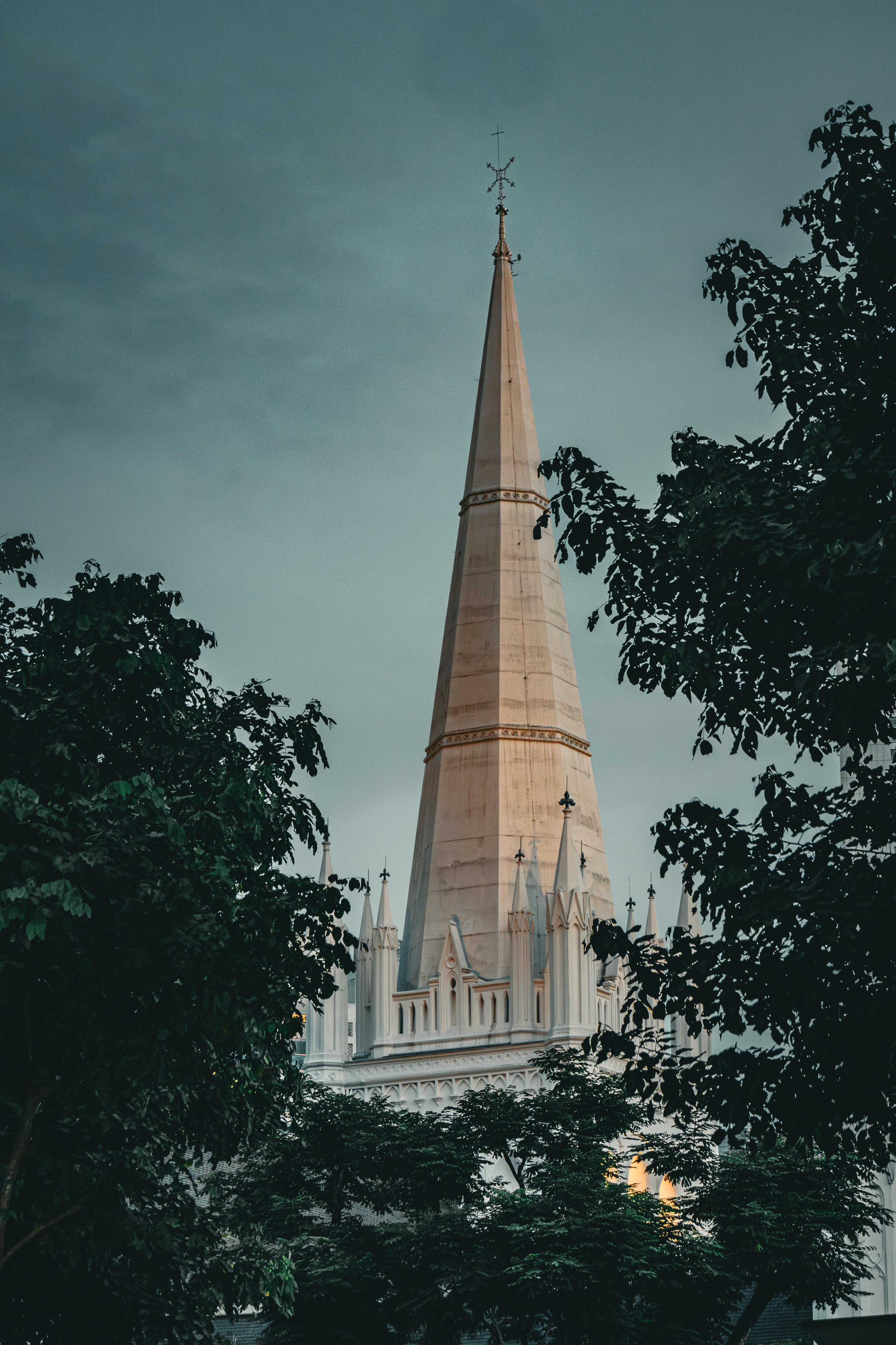 Photo by horseratbros