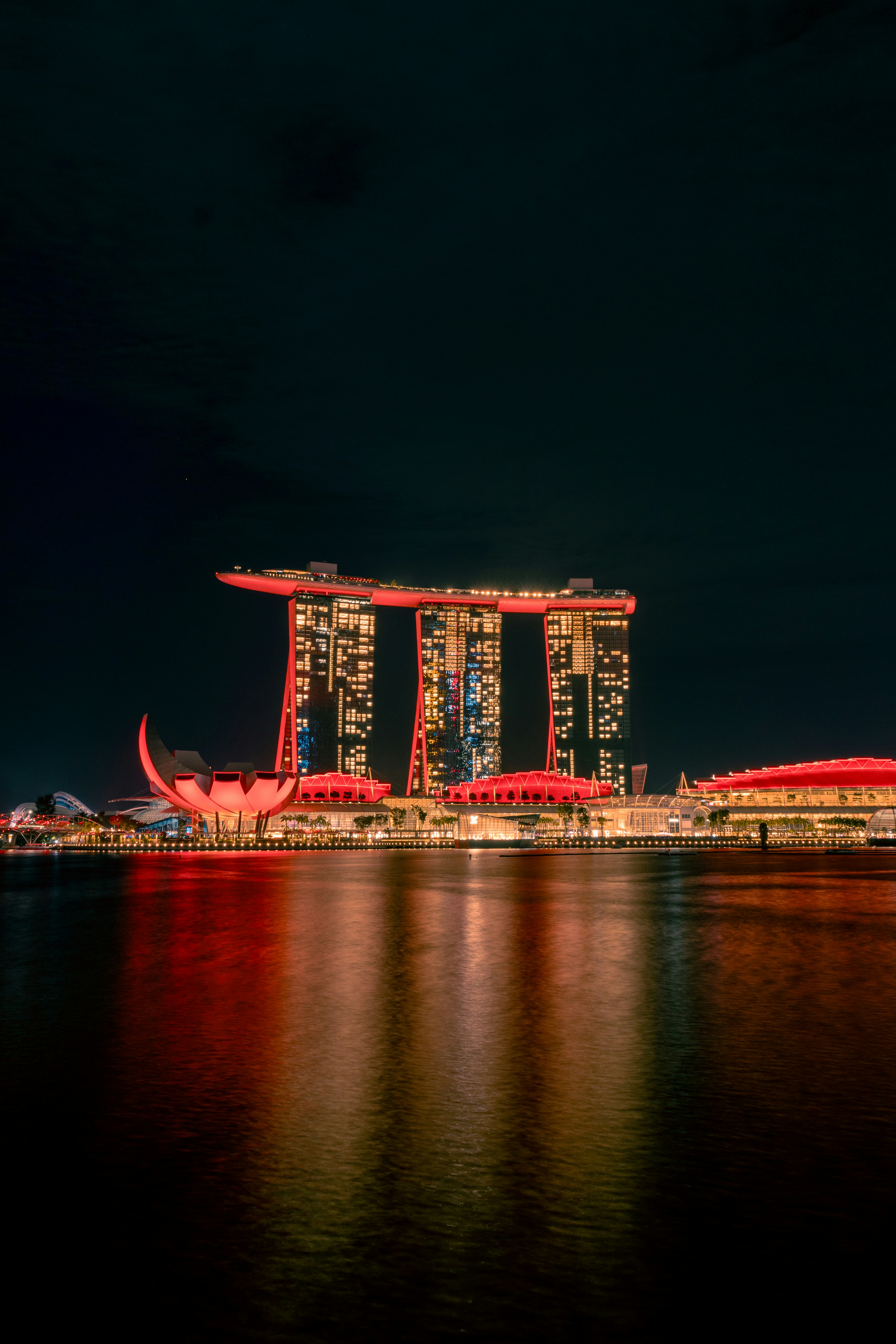 Photo by horseratbros