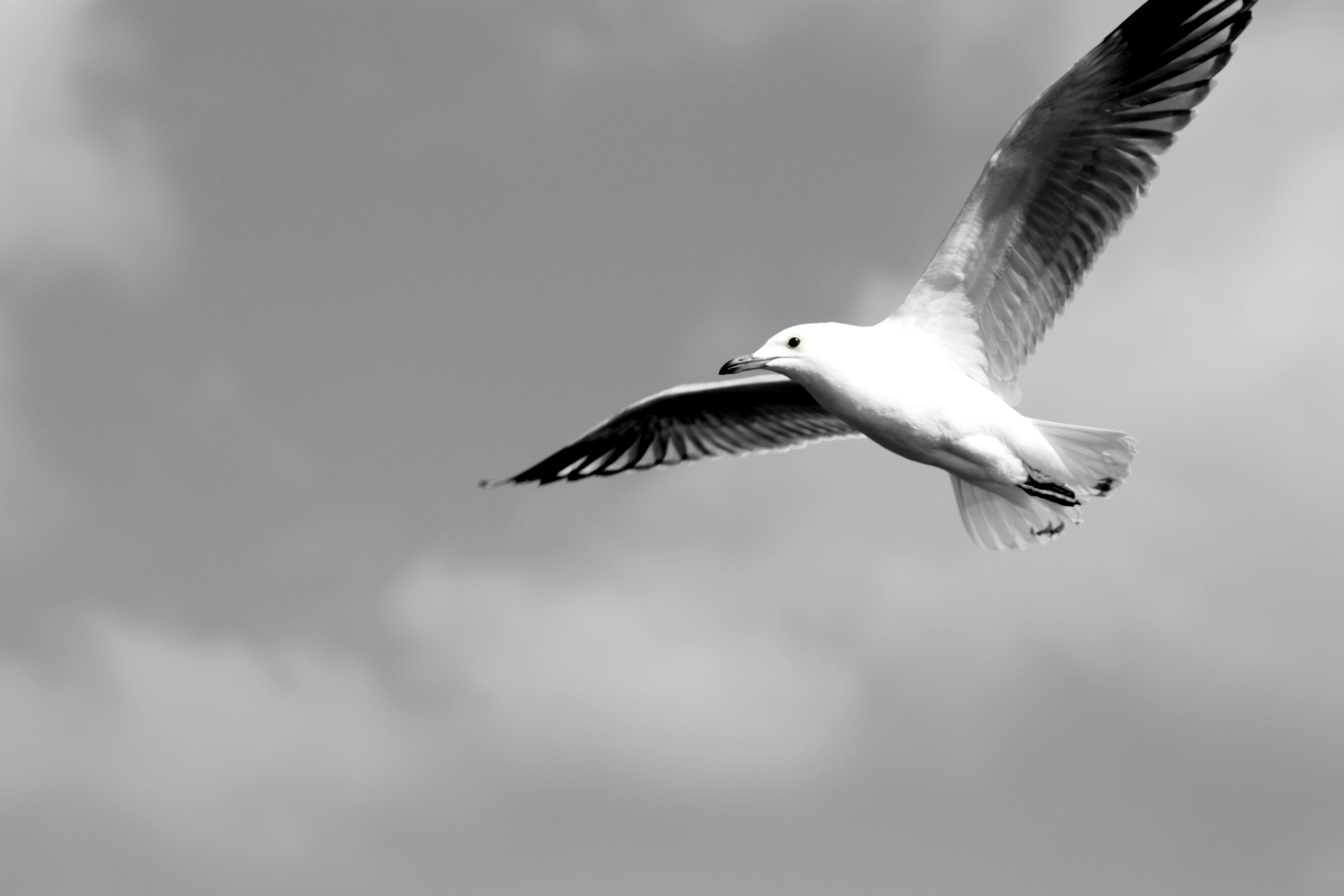 Photo by craigmanners_com