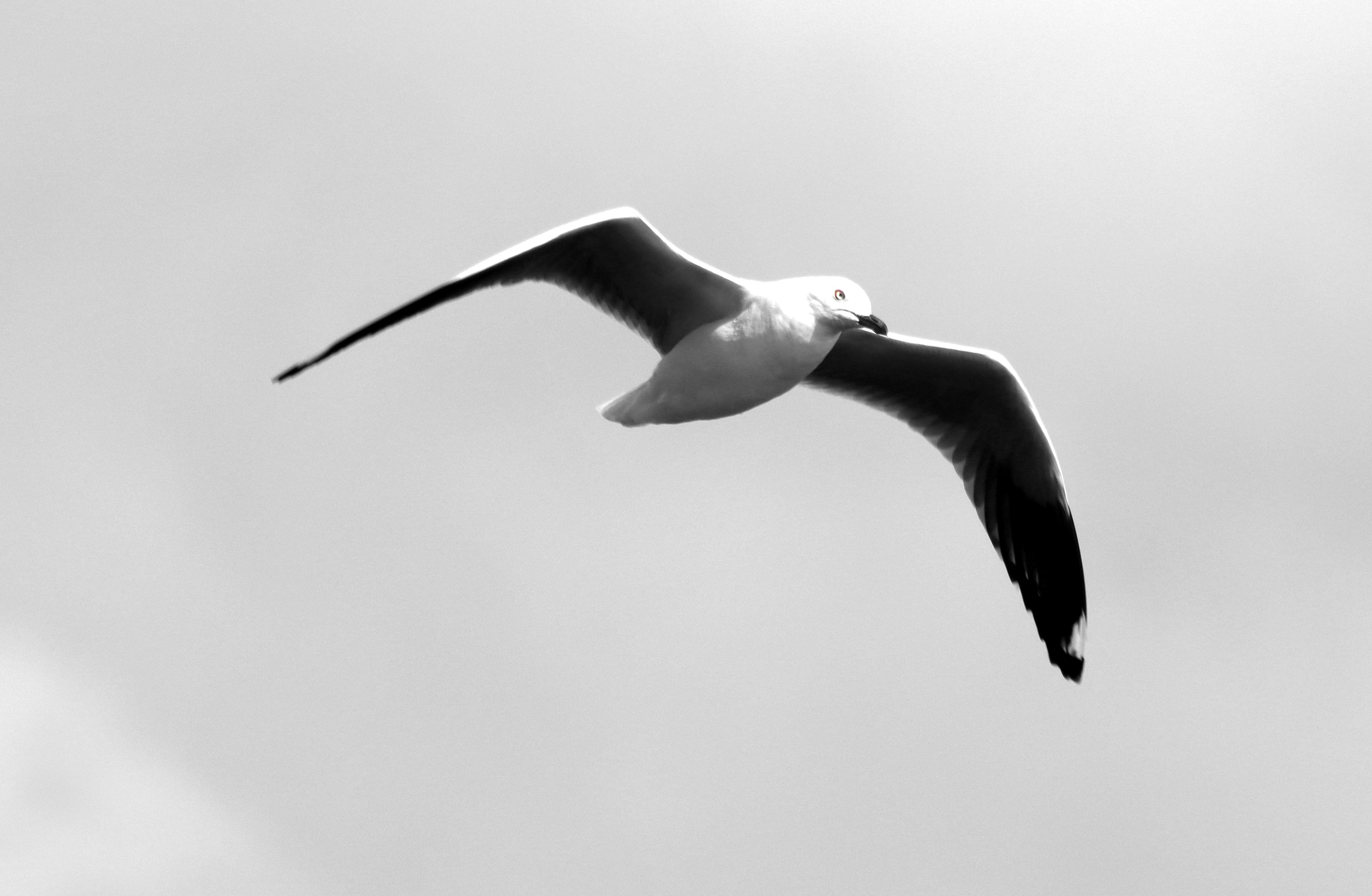 Photo by craigmanners_com