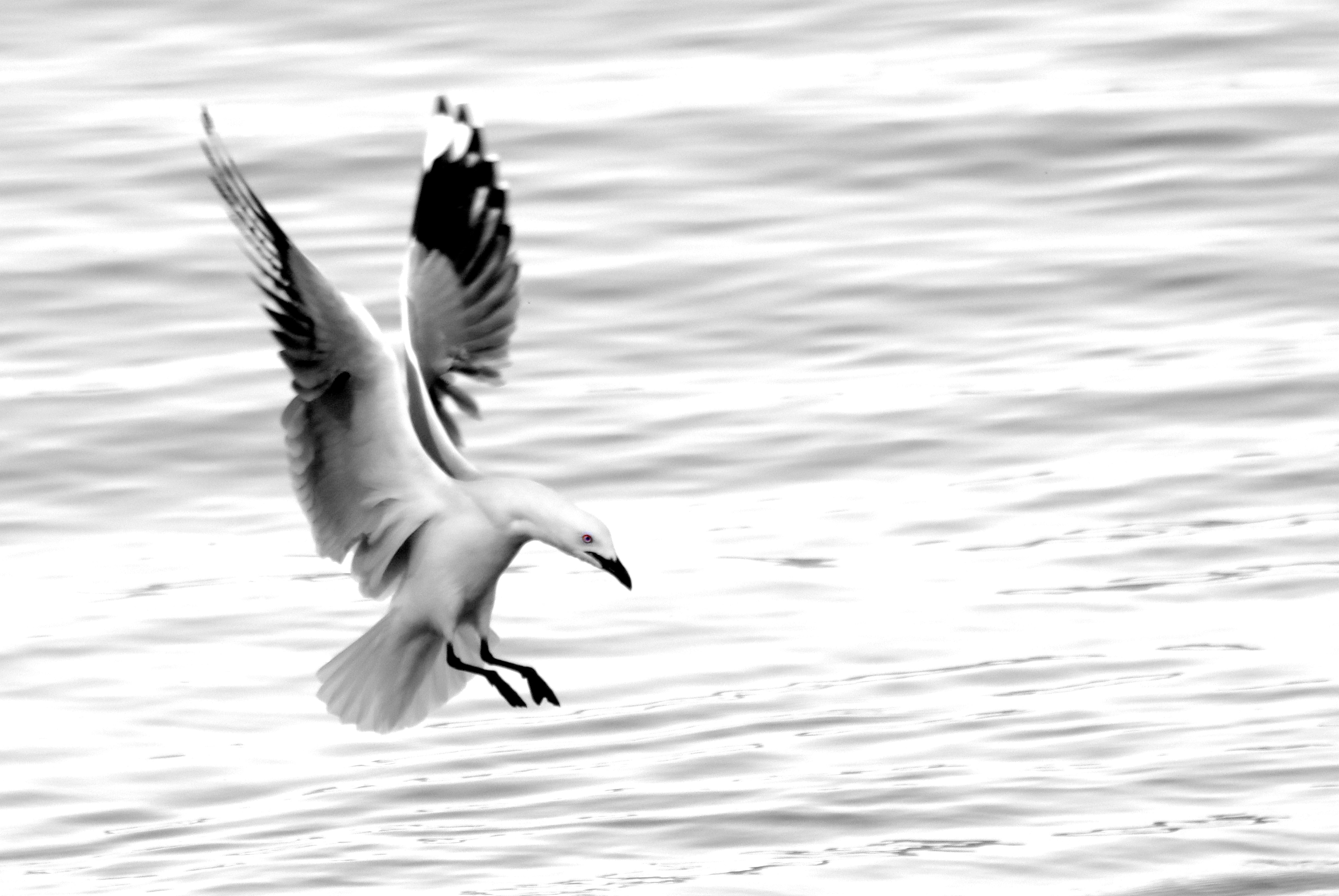 Photo by craigmanners_com