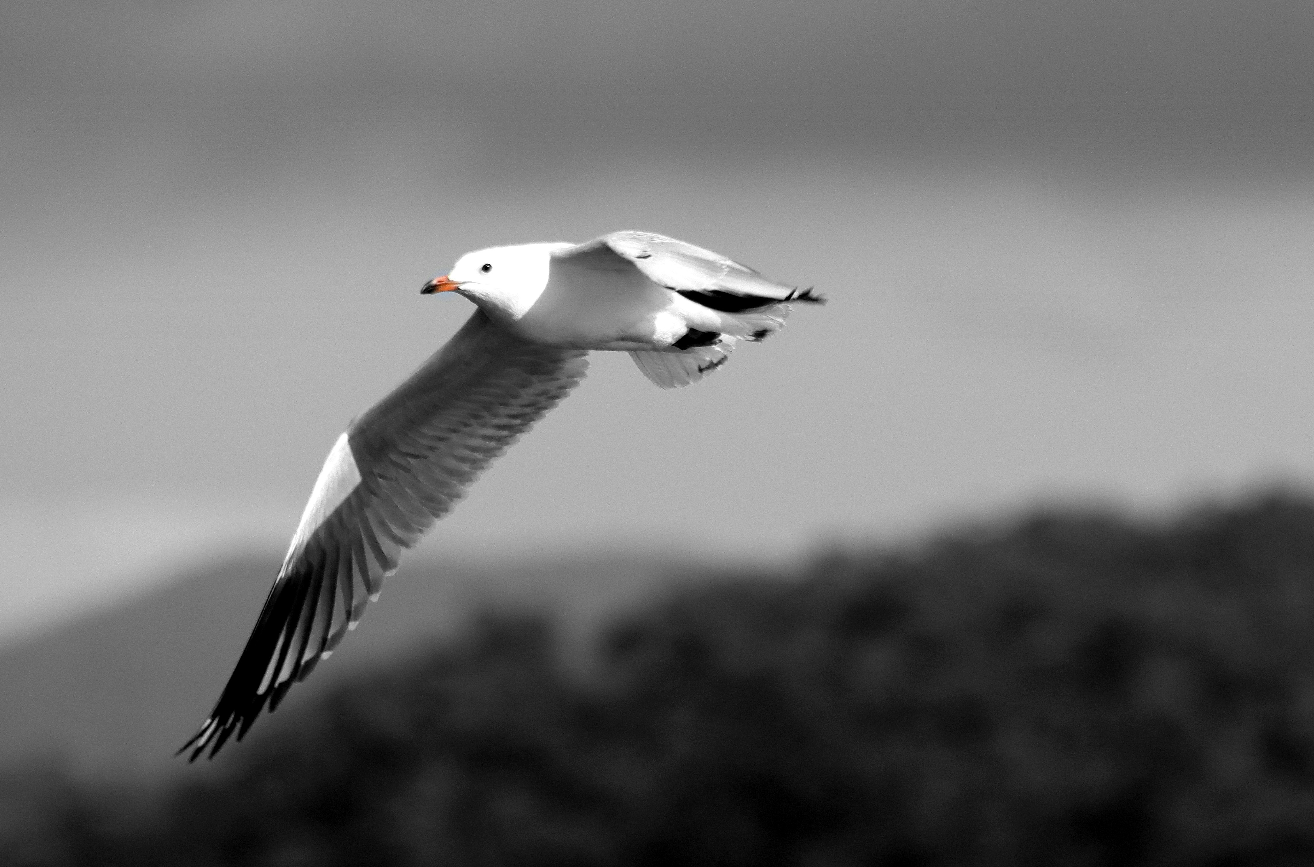 Photo by craigmanners_com