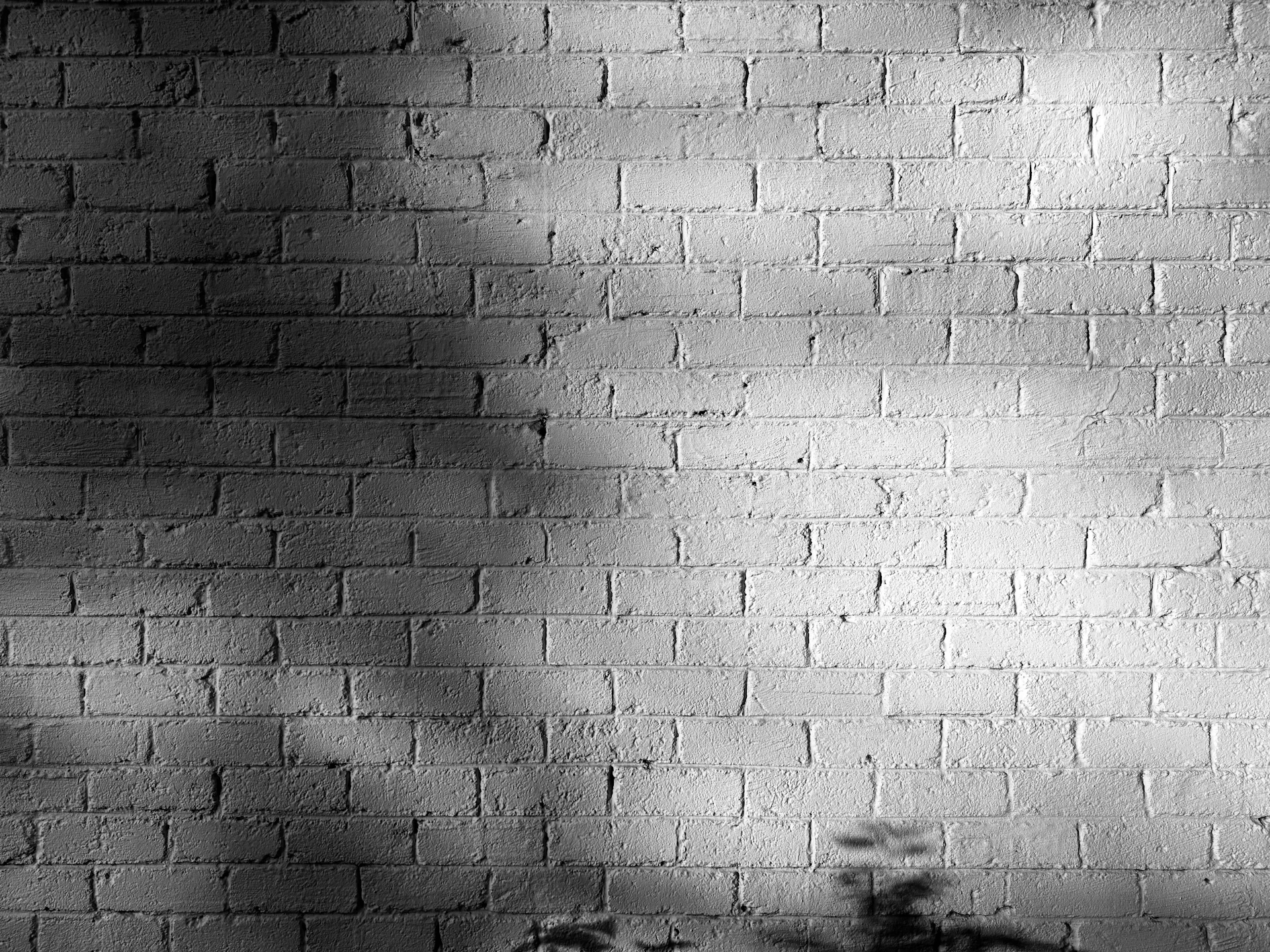 Shadows are cast on a white brick wall.